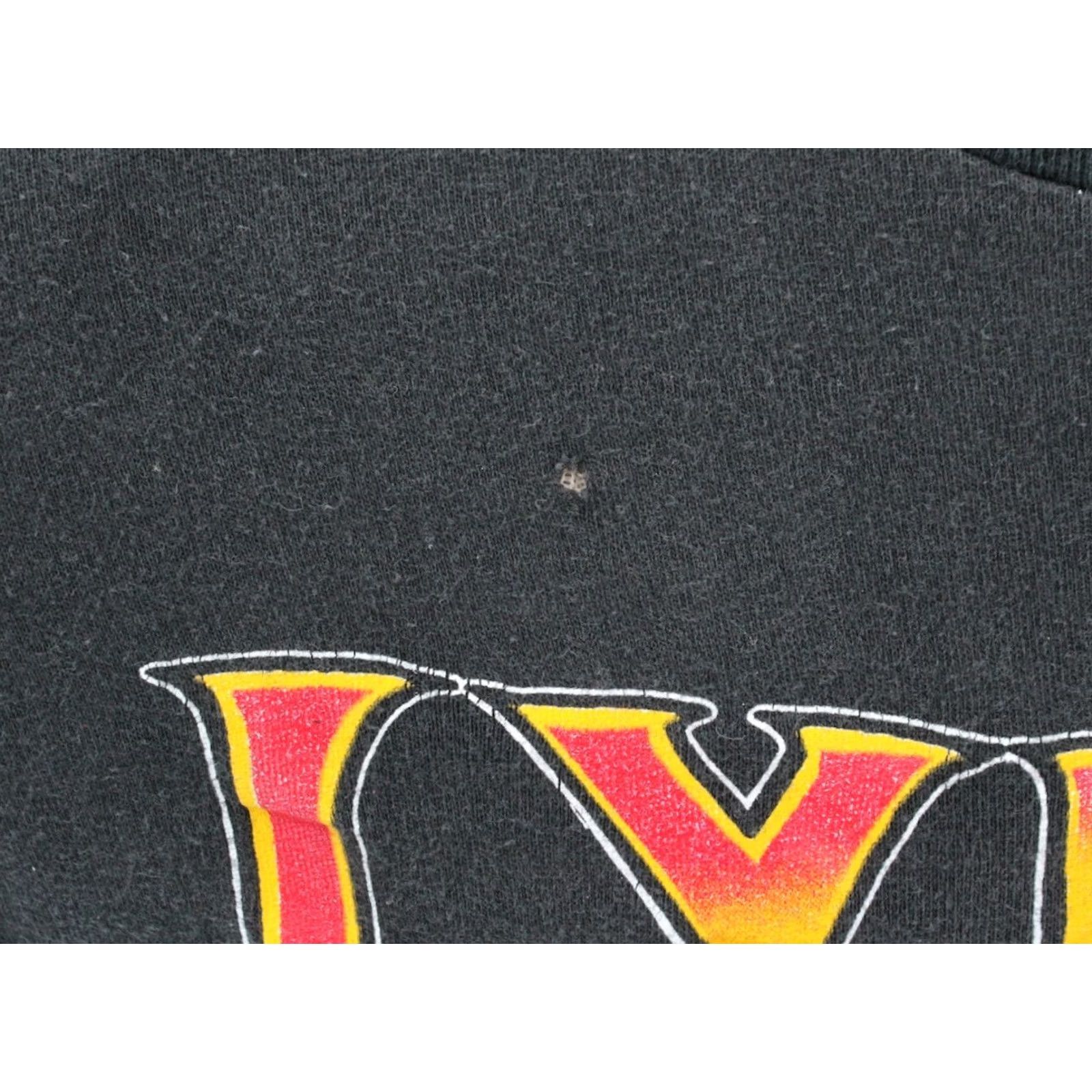 Fruit Of The Loom VTG Men's Lynyrd Skynyrd 90s Made in the South Eagle TShirt Sz L Black Graphic Tee Cavern Band T-shirt Size US L / EU 52-54 / 3 - 7 Thumbnail