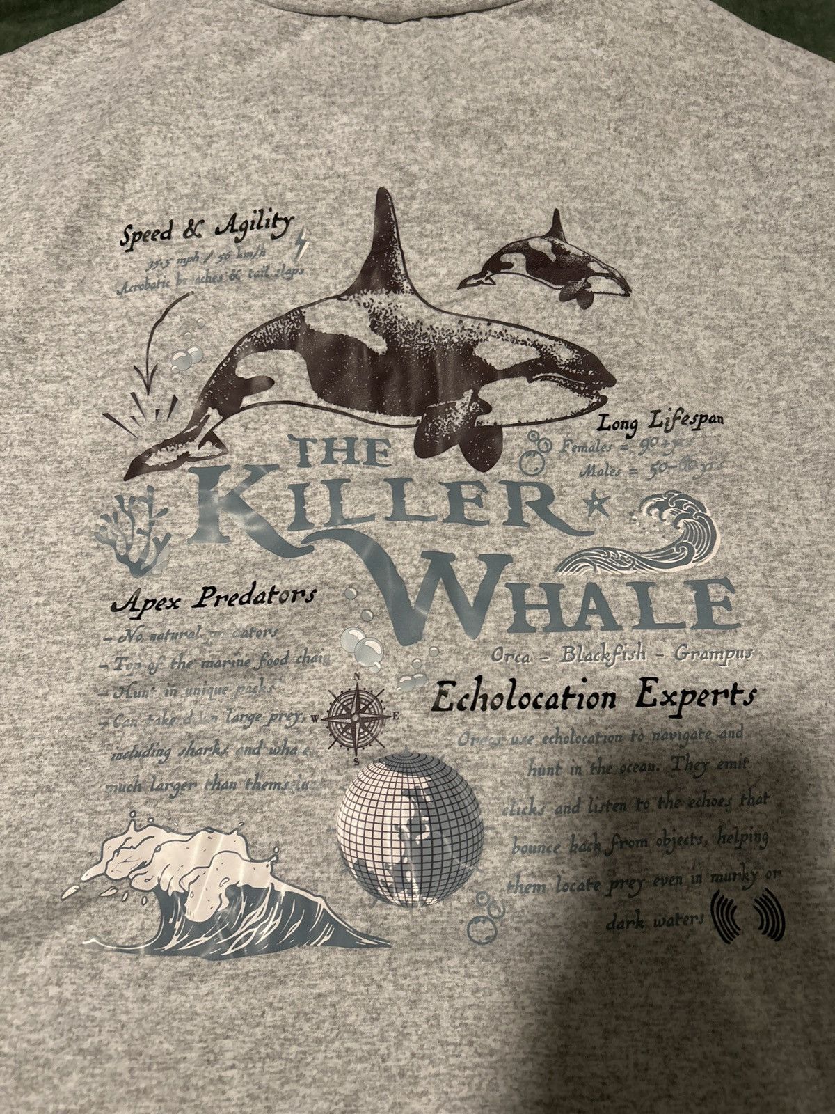 Shein Grey whale shirt Size L / US 10 / IT 46 - 2 Thumbnail