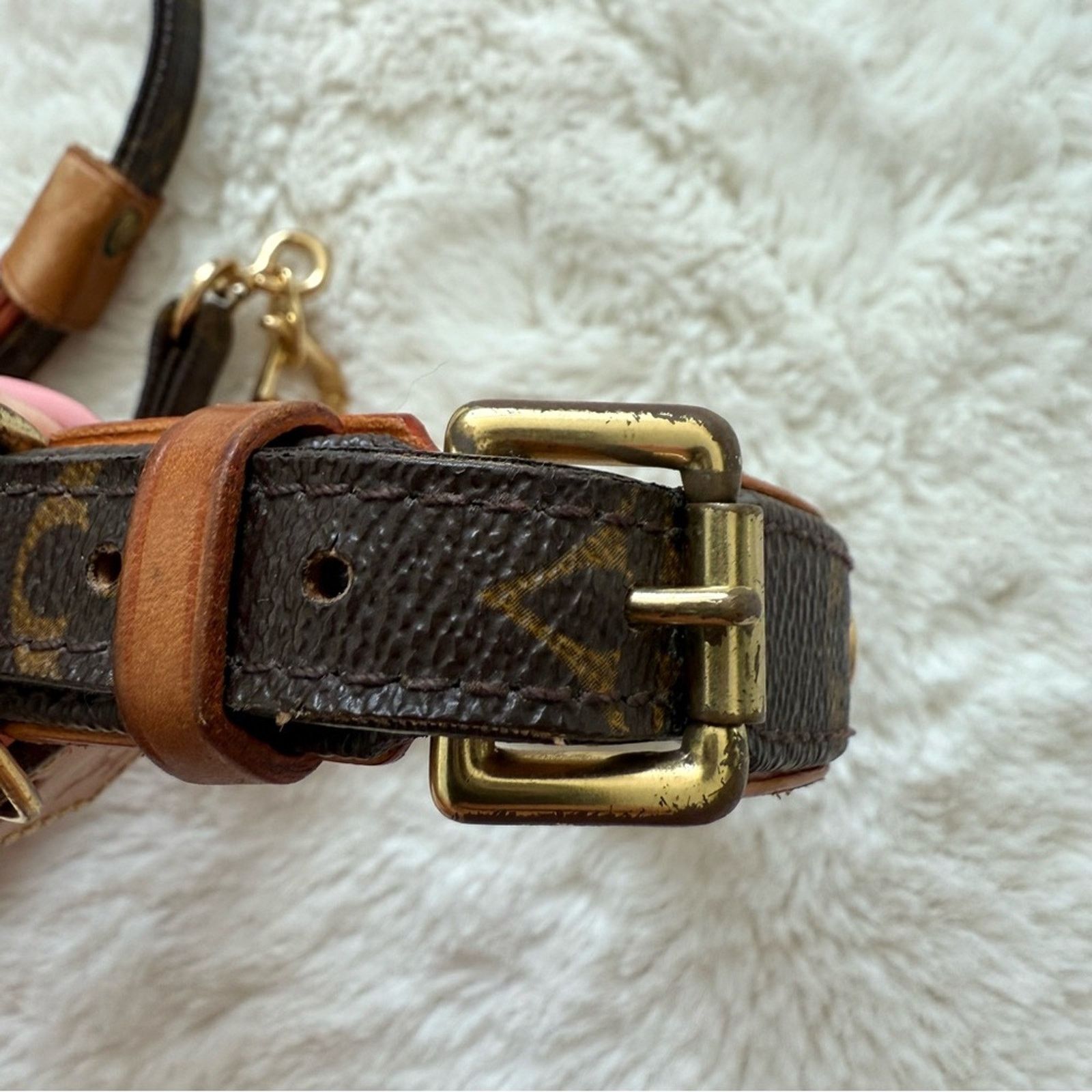 Louis Vuitton Louis Vuitton Dog Lead Monogram Brown Leather Pet Authentic Size ONE SIZE - 4 Thumbnail