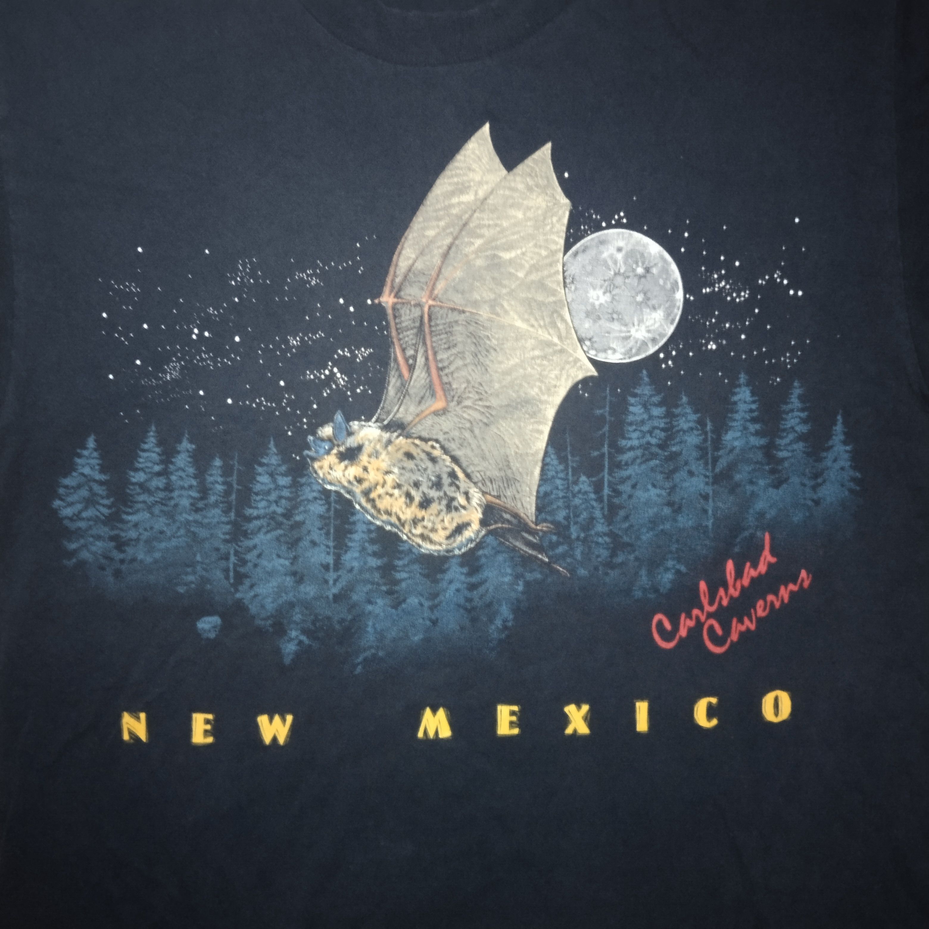Vintage Vintage New Mexico Carlsbad Caverns tee Size US L / EU 52-54 / 3 - 3 Thumbnail