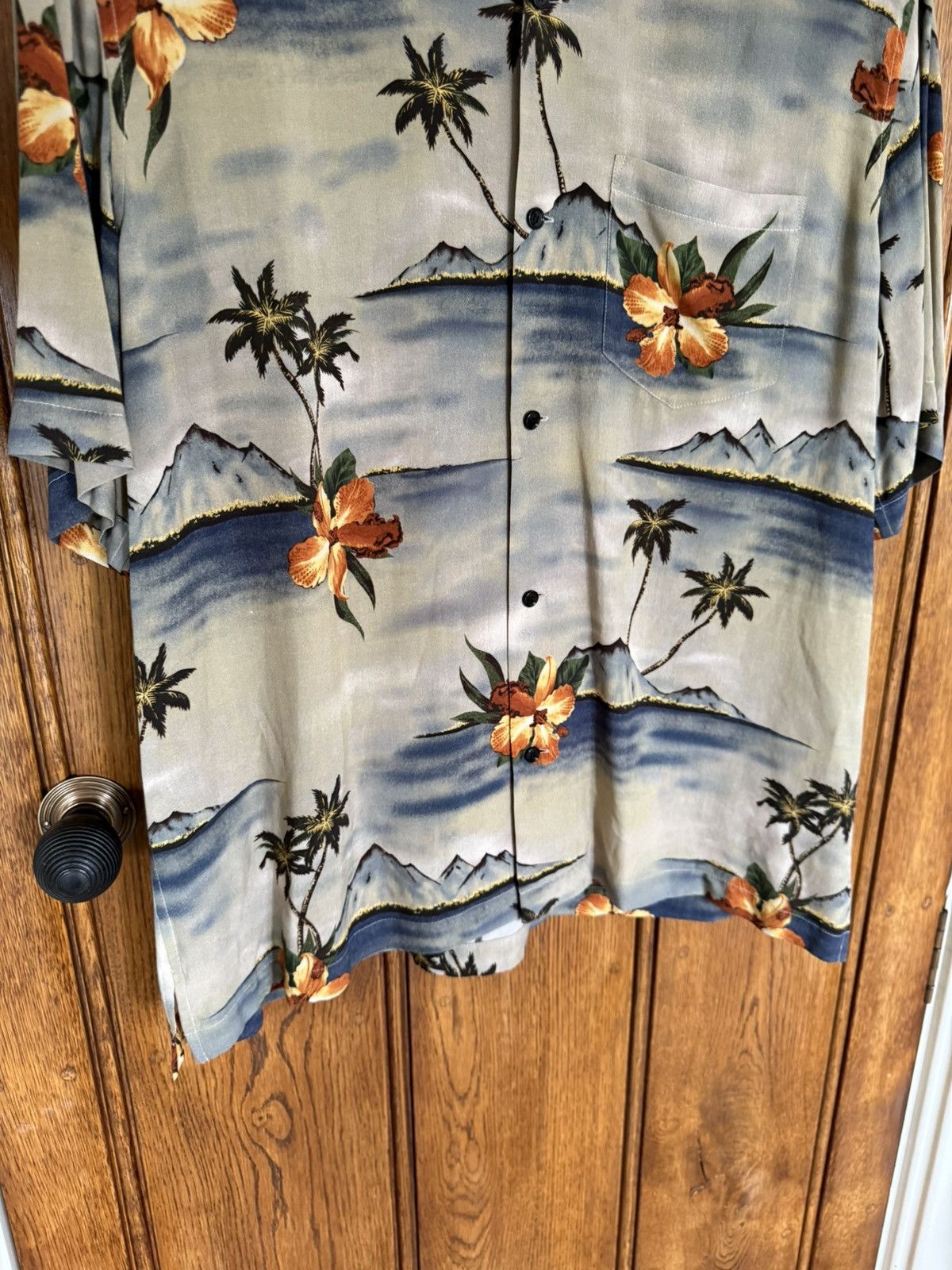 Celine $1.1k SS23 Celine volcano Hawaiian palm tree camp shirt Hedi Size US M / EU 48-50 / 2 - 14 Thumbnail
