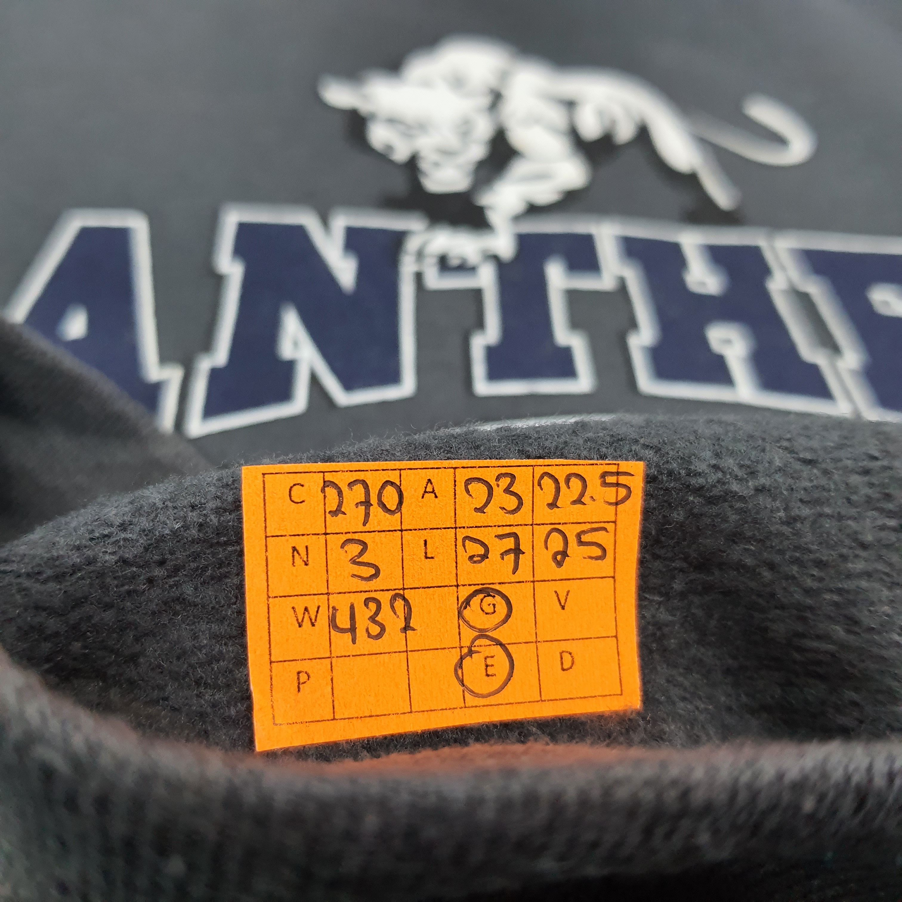 Jerzees Vintage Panthers D'Shawn Jamison NFL Sweatshirt C270N3 Size US L / EU 52-54 / 3 - 6 Thumbnail