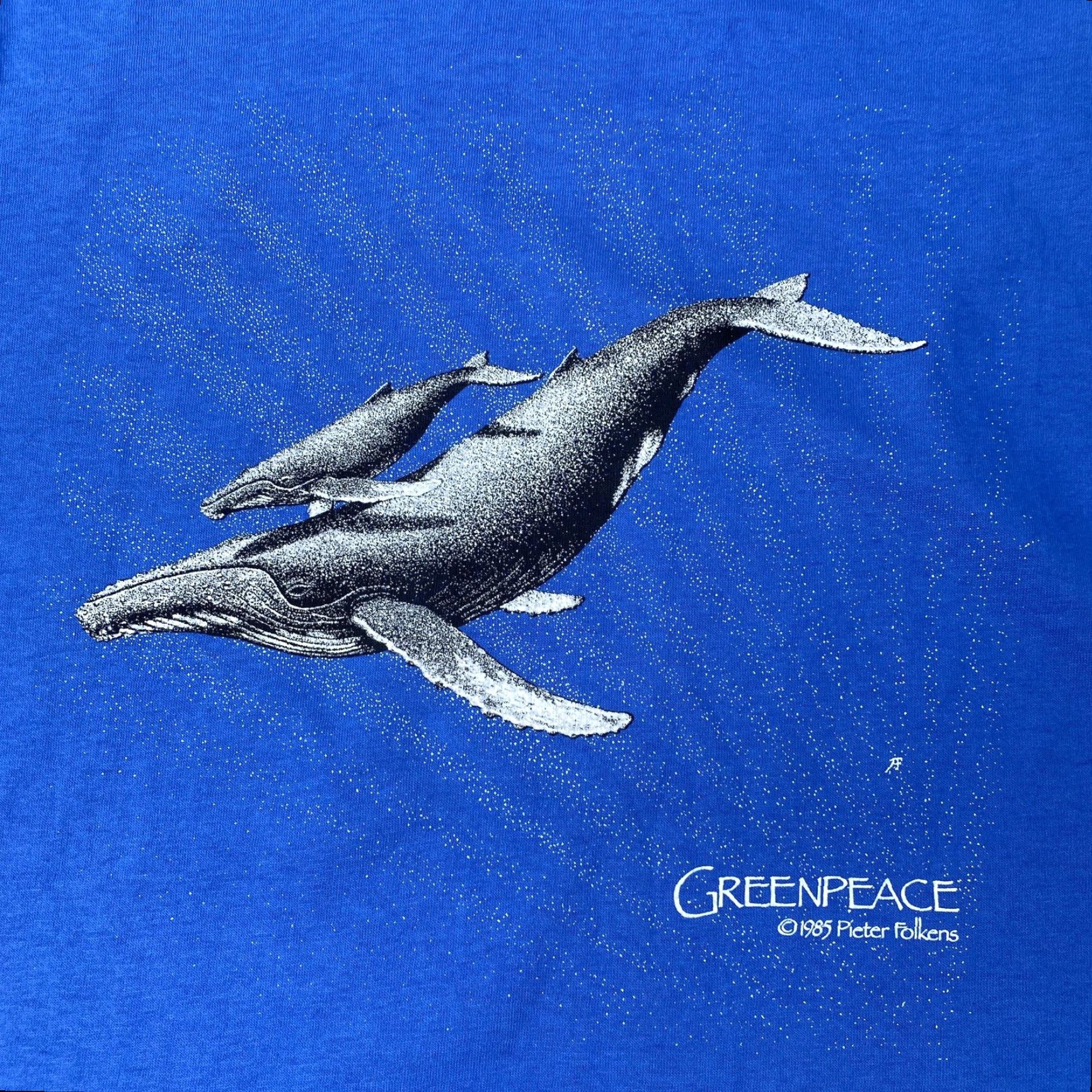 Anvil VINTAGE Greenpeace Shirt Mens Medium Blue Whale Single Stitch 1985 USA 80s Mens Size US M / EU 48-50 / 2 - 2 Thumbnail