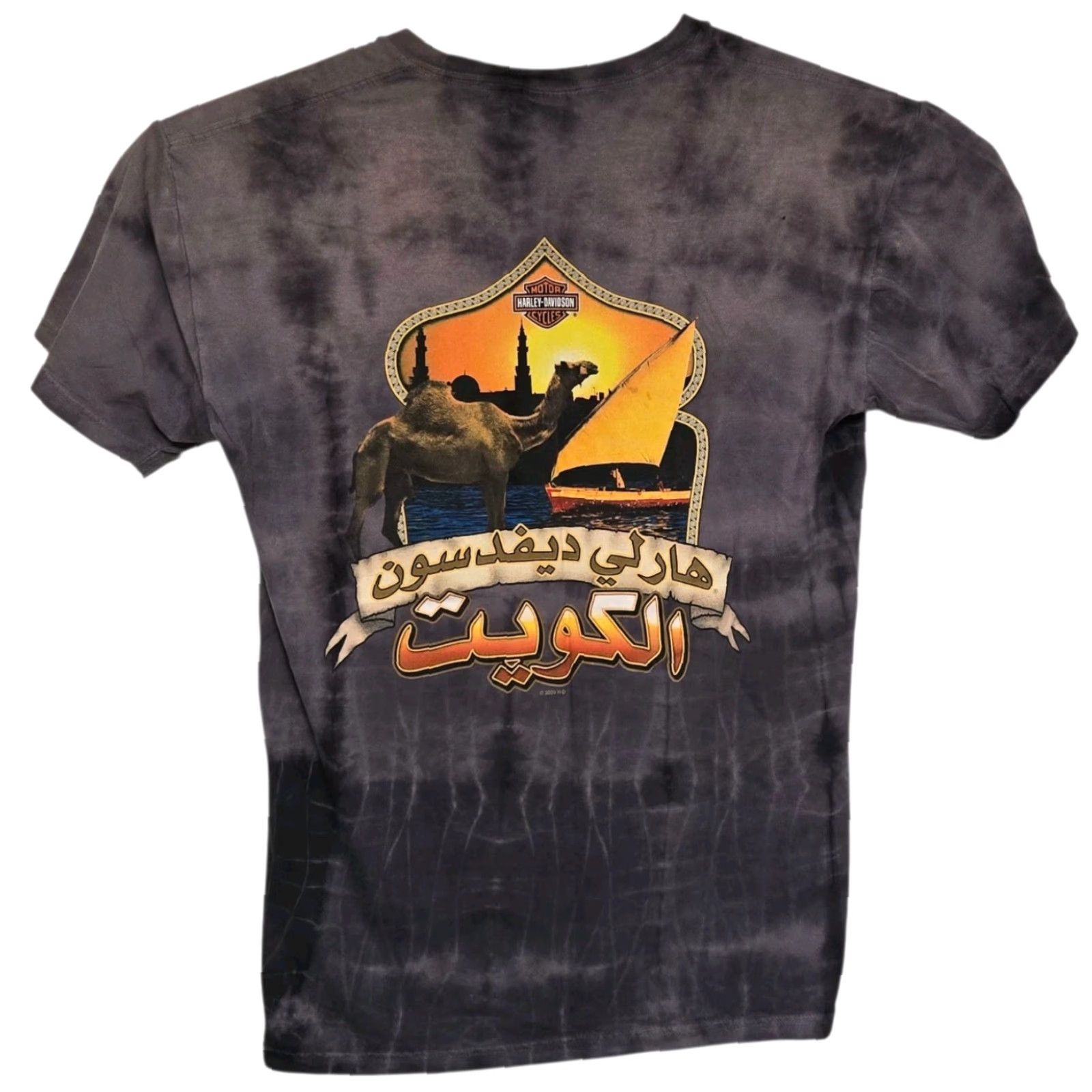 Harley Davidson Harley-Davidson T-Shirt Men Regular Size L Gray Tie Dye 2000-2009 Motorcycle Biker Shirt Size US L / EU 52-54 / 3 - 4 Thumbnail