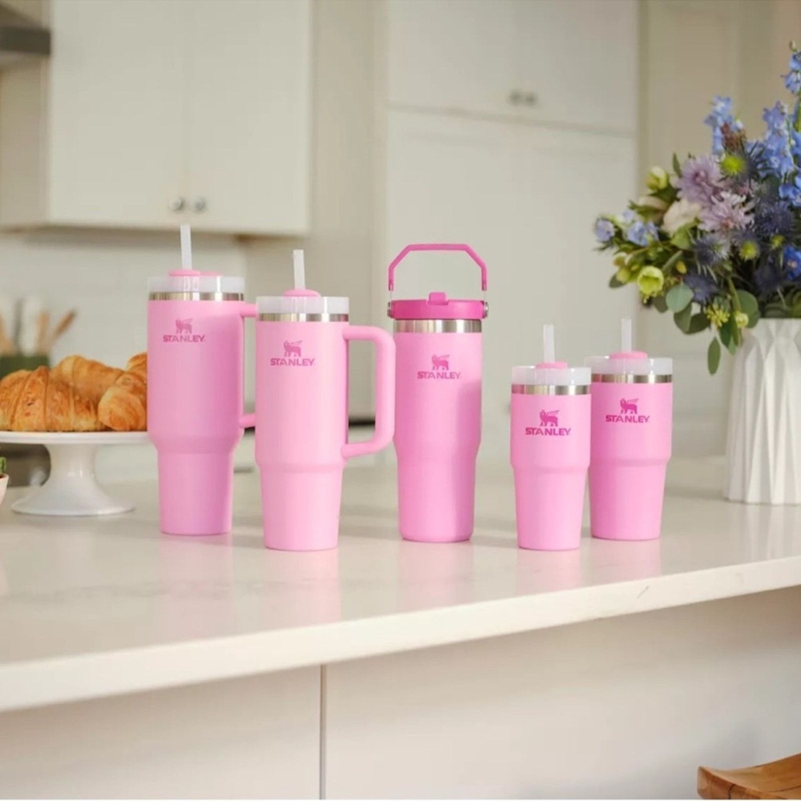Other NWT Stanley Iceflow Flip Straw 30oz Tumbler Peony Size ONE SIZE - 5 Thumbnail