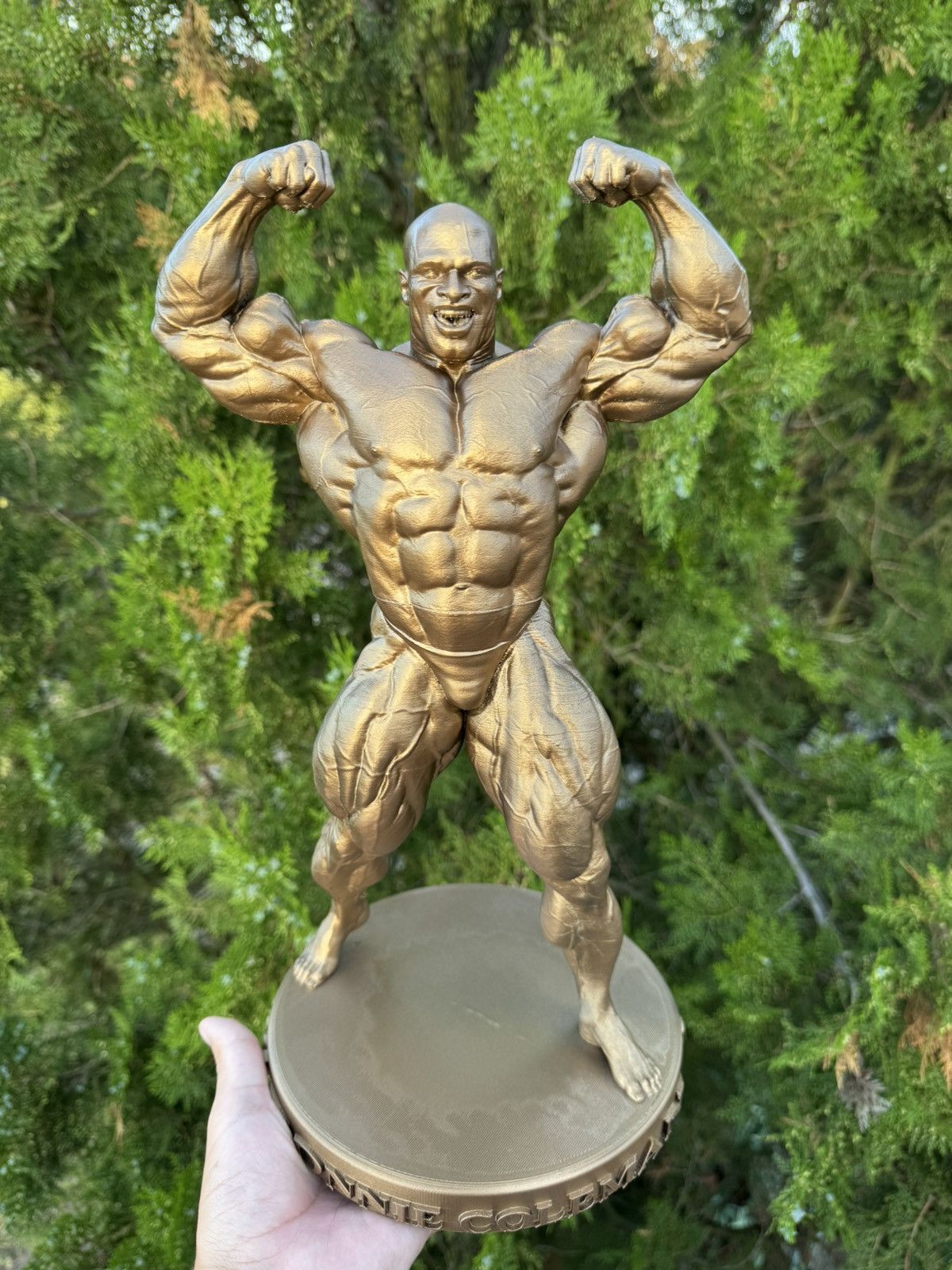 Other Gym statue Ronnie Coleman Mr Olympia 37cm Size ONE SIZE - 1 Thumbnail