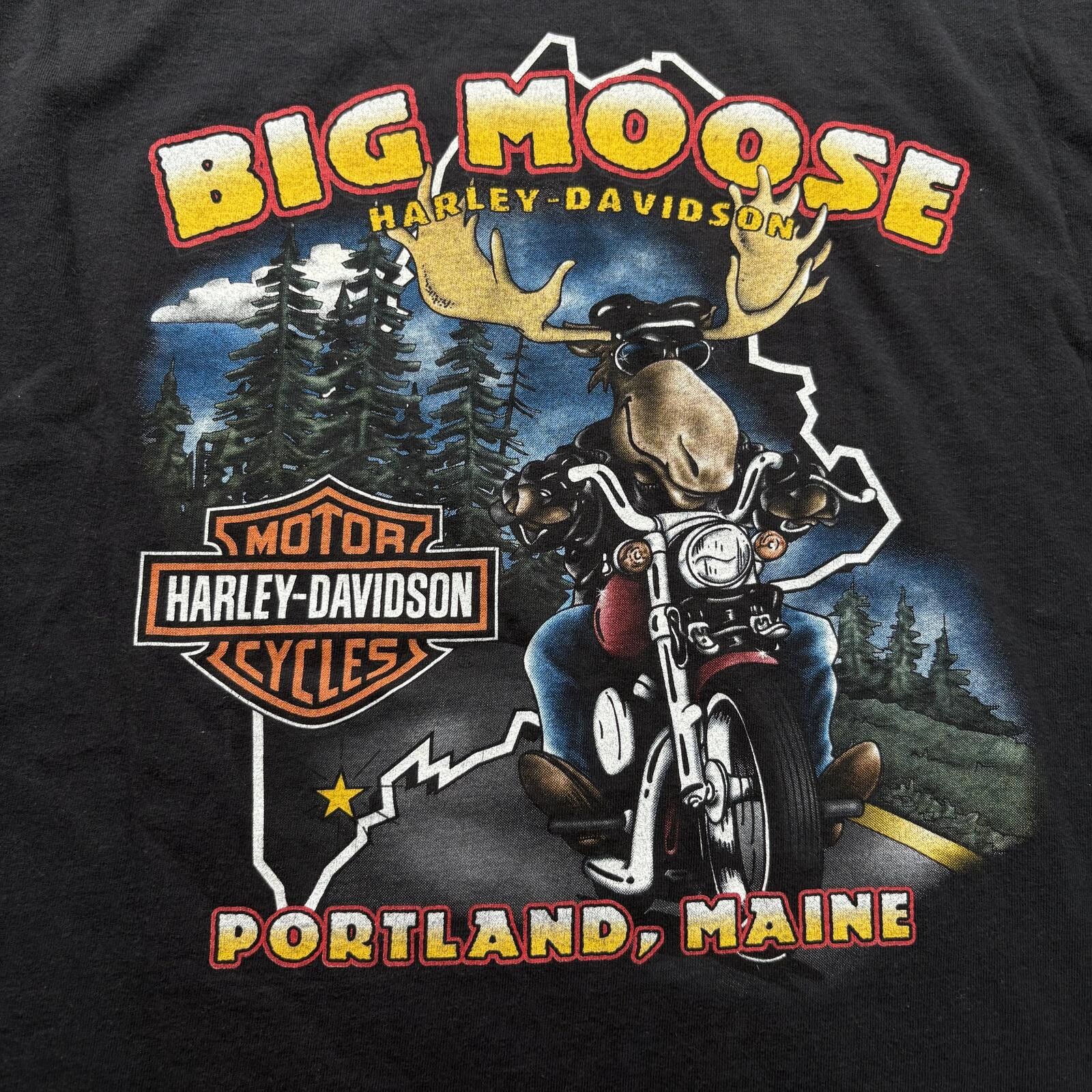 Harley Davidson Vintage Y2K Harley Davidson Flames Moose Grunge Biker Shirt Size US XL / EU 56 / 4 - 5 Thumbnail
