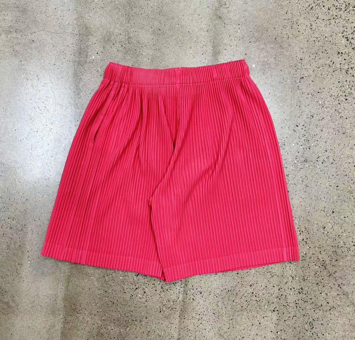 Issey Miyake Issey Miyake homme plisse HP Shorts JF159 Size US 35 - 6 Thumbnail