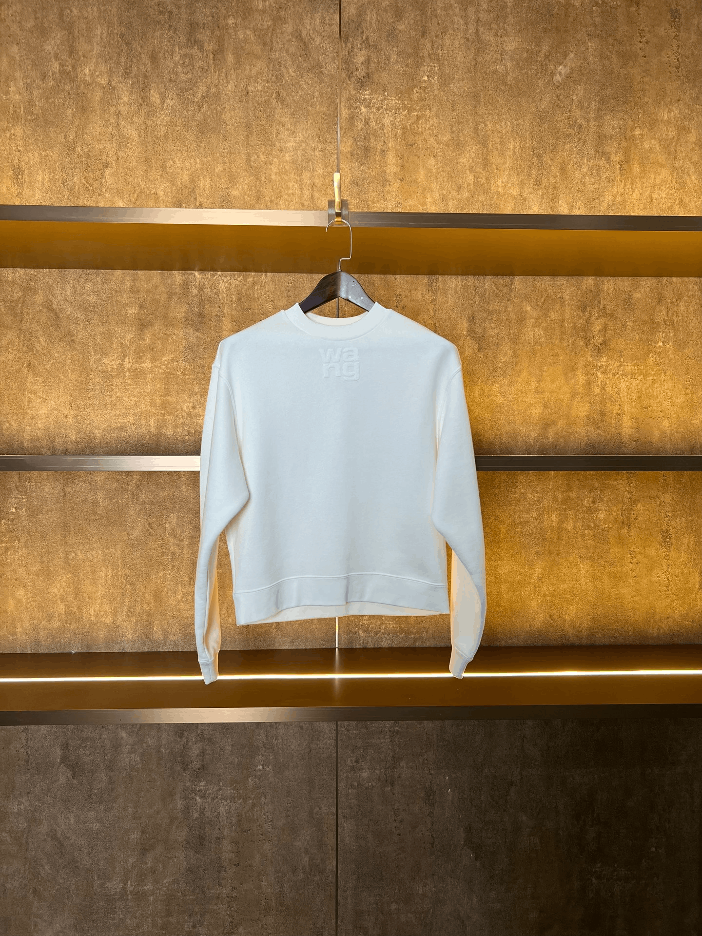 Alexander Wang Alexander Wang Hoodie xs Men Size US XS / EU 42 / 0 - 1 Thumbnail