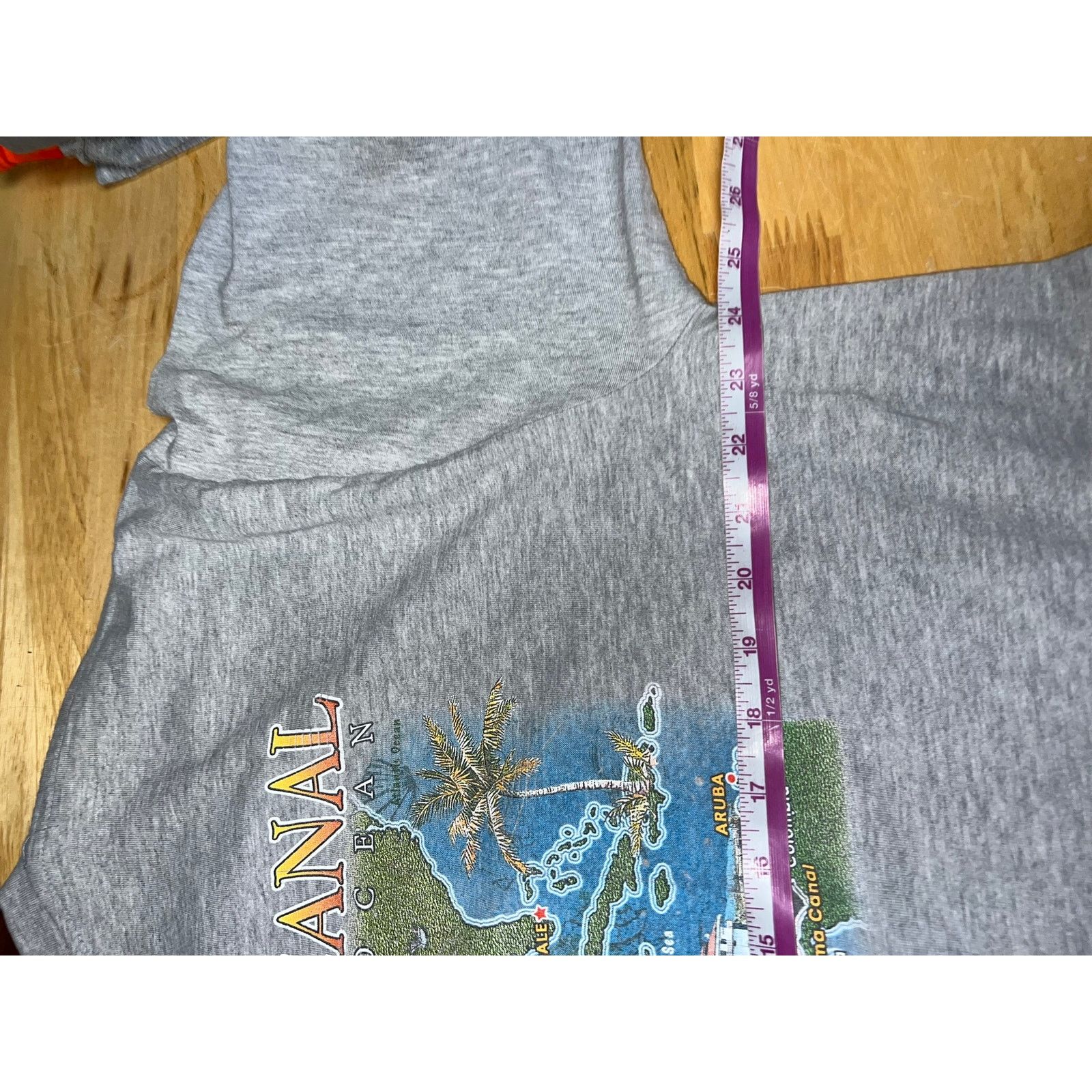 Vintage Princess Cruises Panama Canal Shirt Ocean Graphic Gray Tee 2 Size US XXL / EU 58 / 5 - 9 Thumbnail
