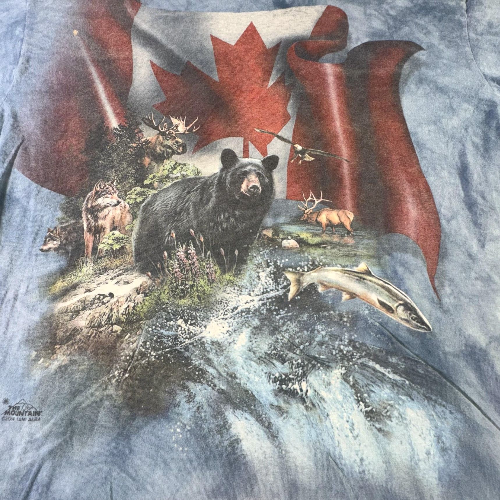 The Mountain The Mountain Shirt Mens Large Niagara Falls Canada Bear Wildlife Nature 2014 Blue Graphic Print Crew Neck Short Sleeve Cotton T-Shirt Size US L / EU 52-54 / 3 - 2 Thumbnail