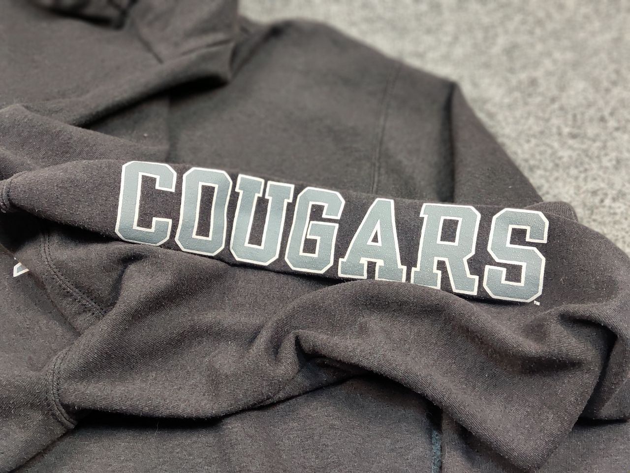 Champion Vintage 90's Champion washington state cougars Logo Hoodie Size US M / EU 48-50 / 2 - 14 Thumbnail