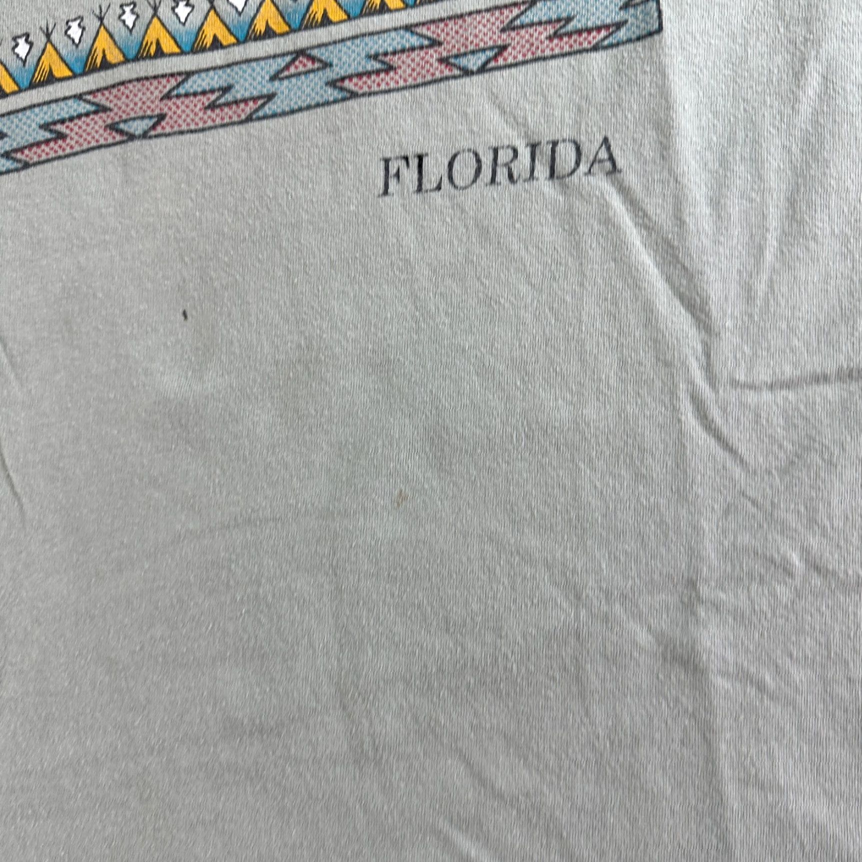 Hanes VINTAGE Florida Shirt Mens XL Green 90s Tribal Native Artwork T-Shirt Cotton Hanes Graphic Print Crew Neck Short Sleeve Size US XL / EU 56 / 4 - 5 Thumbnail