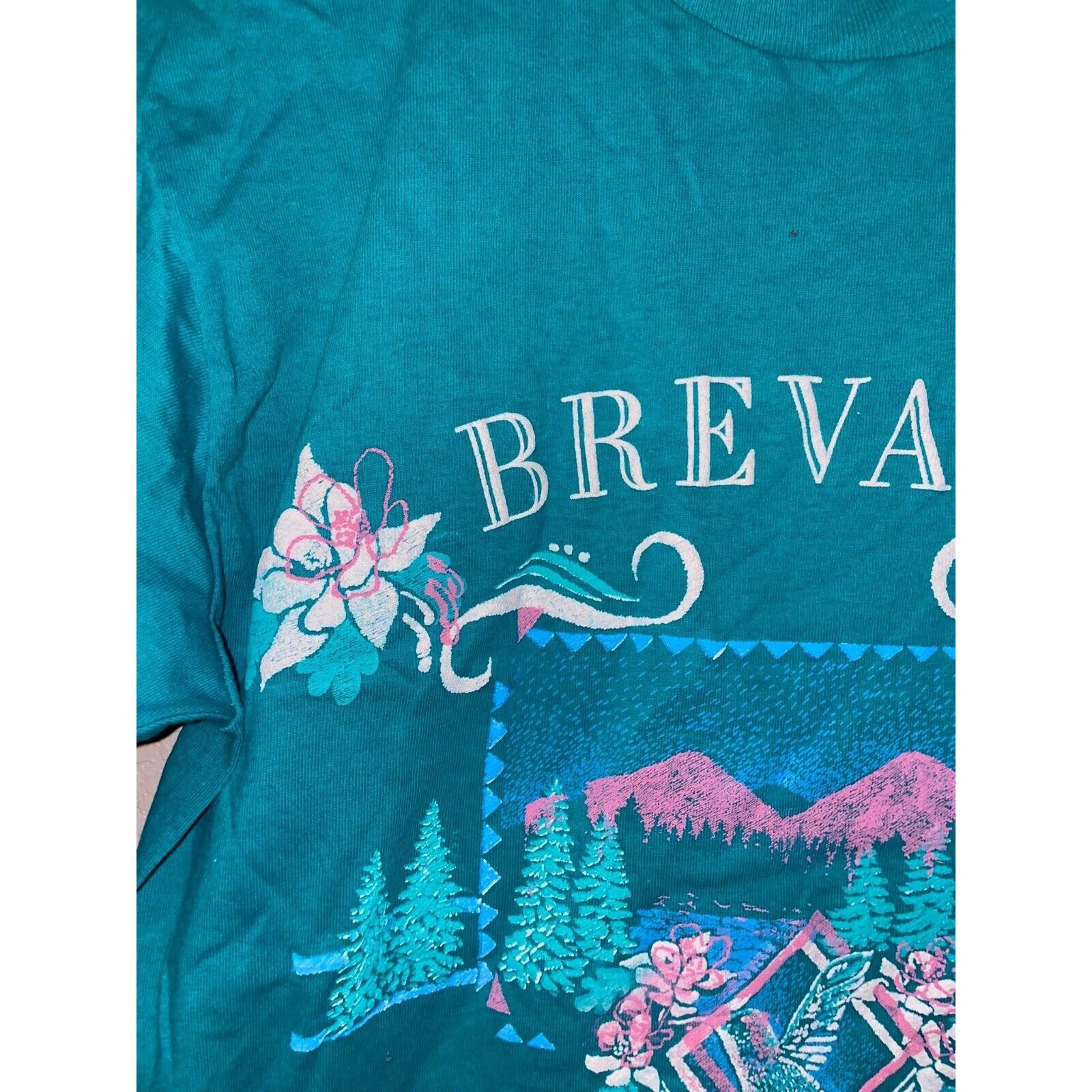 Jerzees Vintage Brevard North Carolina Shirt teal Tee VTG 90s Medium Size US M / EU 48-50 / 2 - 4 Thumbnail