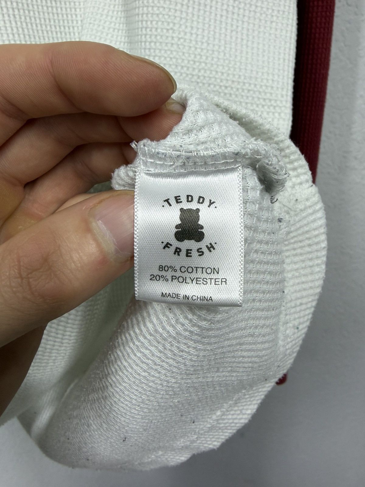 Teddy Fresh Archive Raglan Longsleeve The World Is Fucked Embroidered LG Size US L / EU 52-54 / 3 - 15 Thumbnail