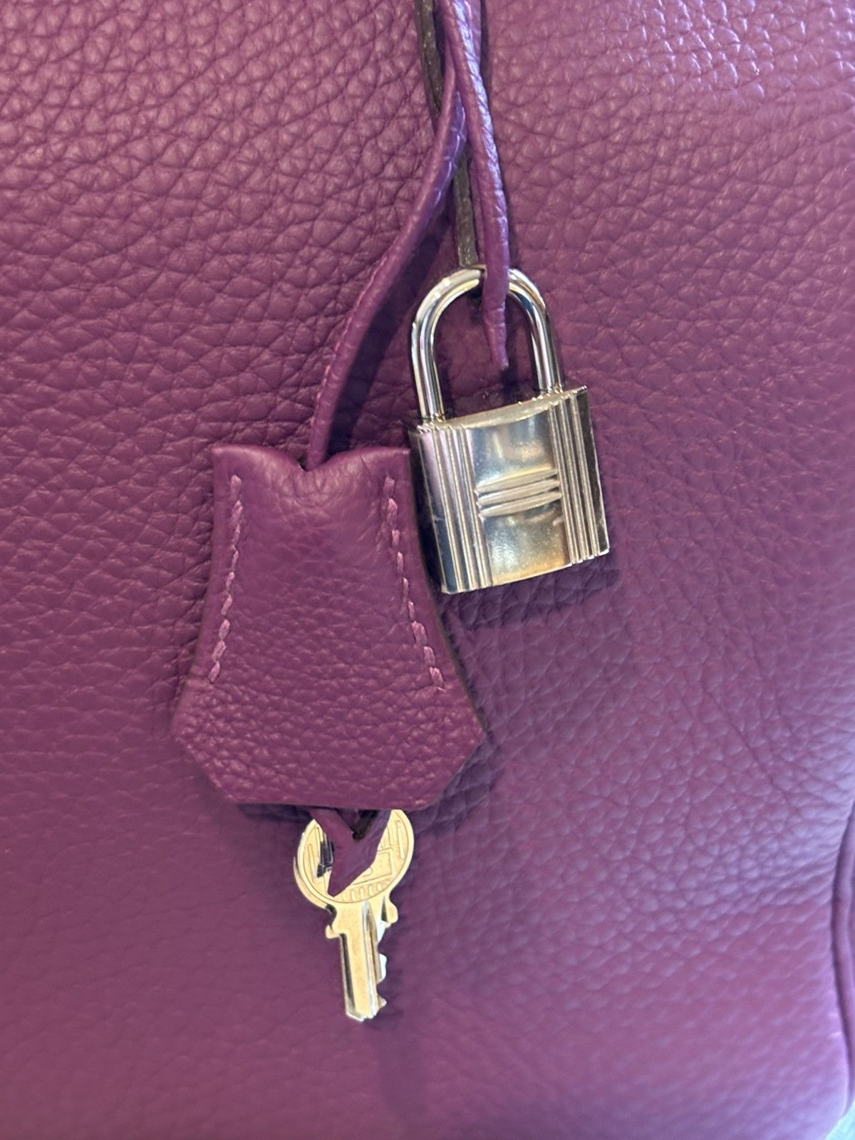Hermes Hermes 35 Togo Leather Anemone Birkin Size ONE SIZE - 14 Thumbnail
