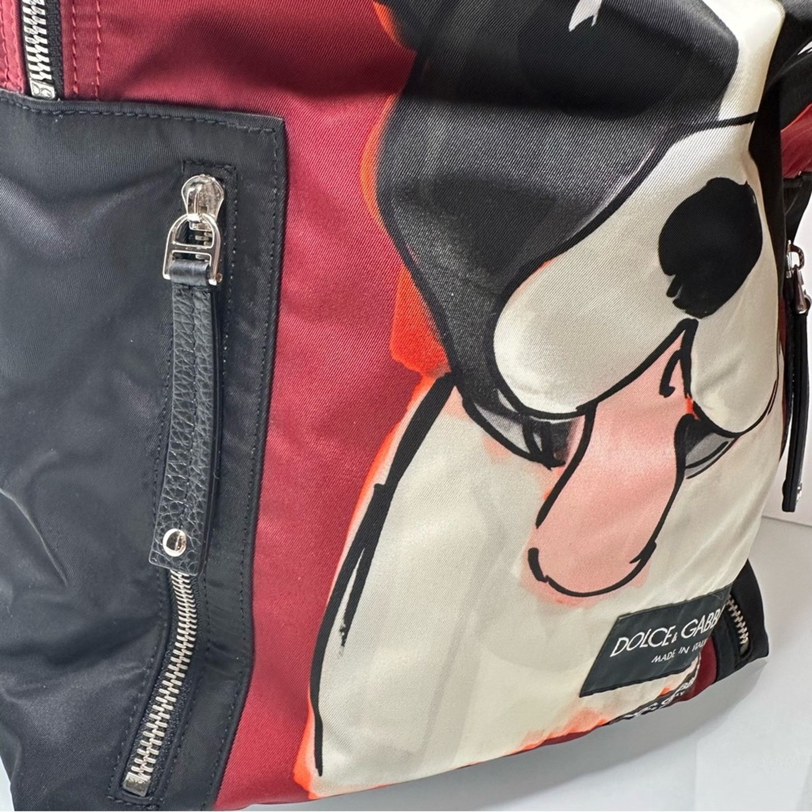 Dolce & Gabbana Dolce & Gabbana Vulcano Nylon Dog Backpack Size ONE SIZE - 7 Thumbnail
