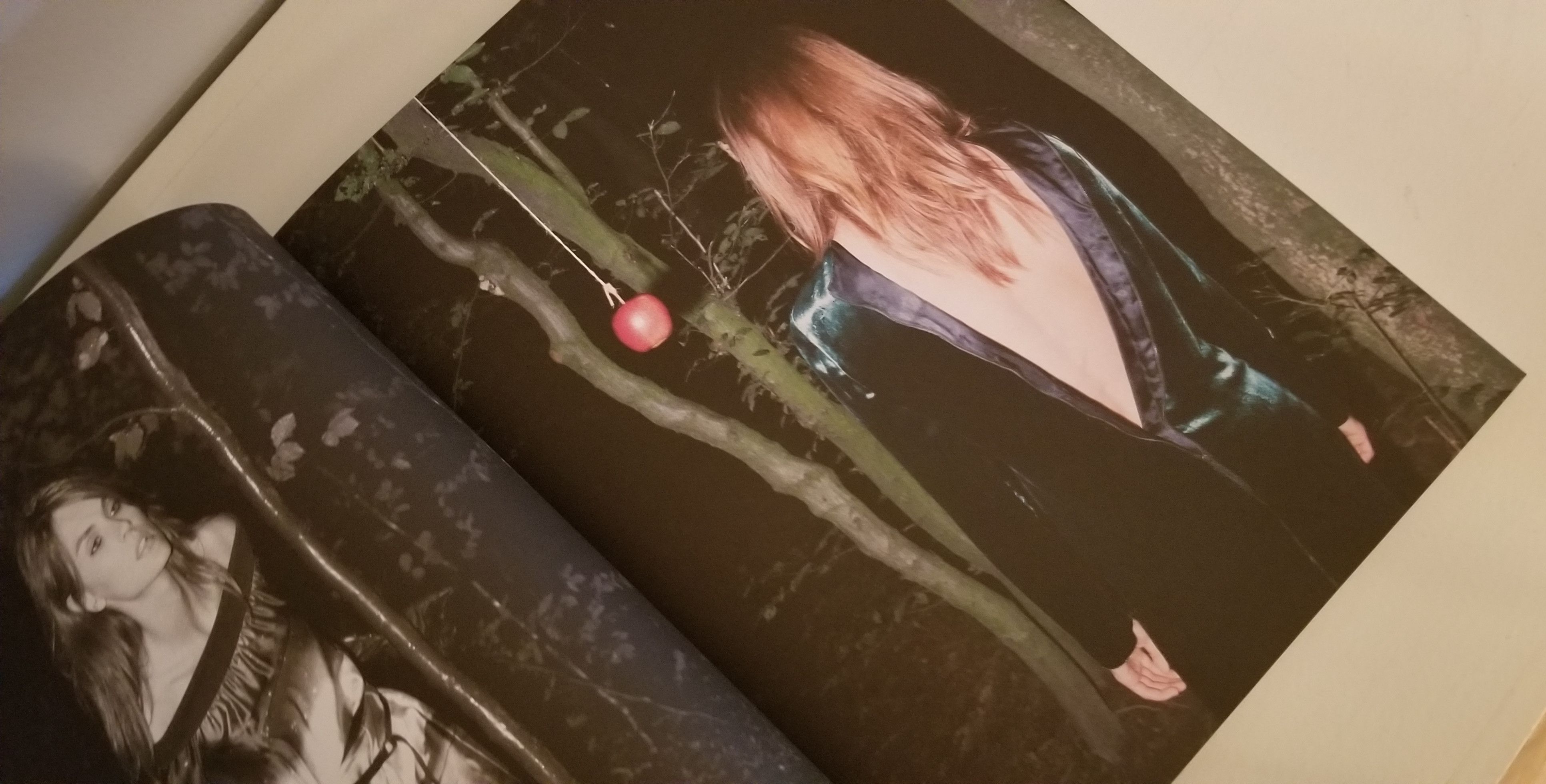A Magazine #6 Curated by Veronique Branquinho Periodical Raf