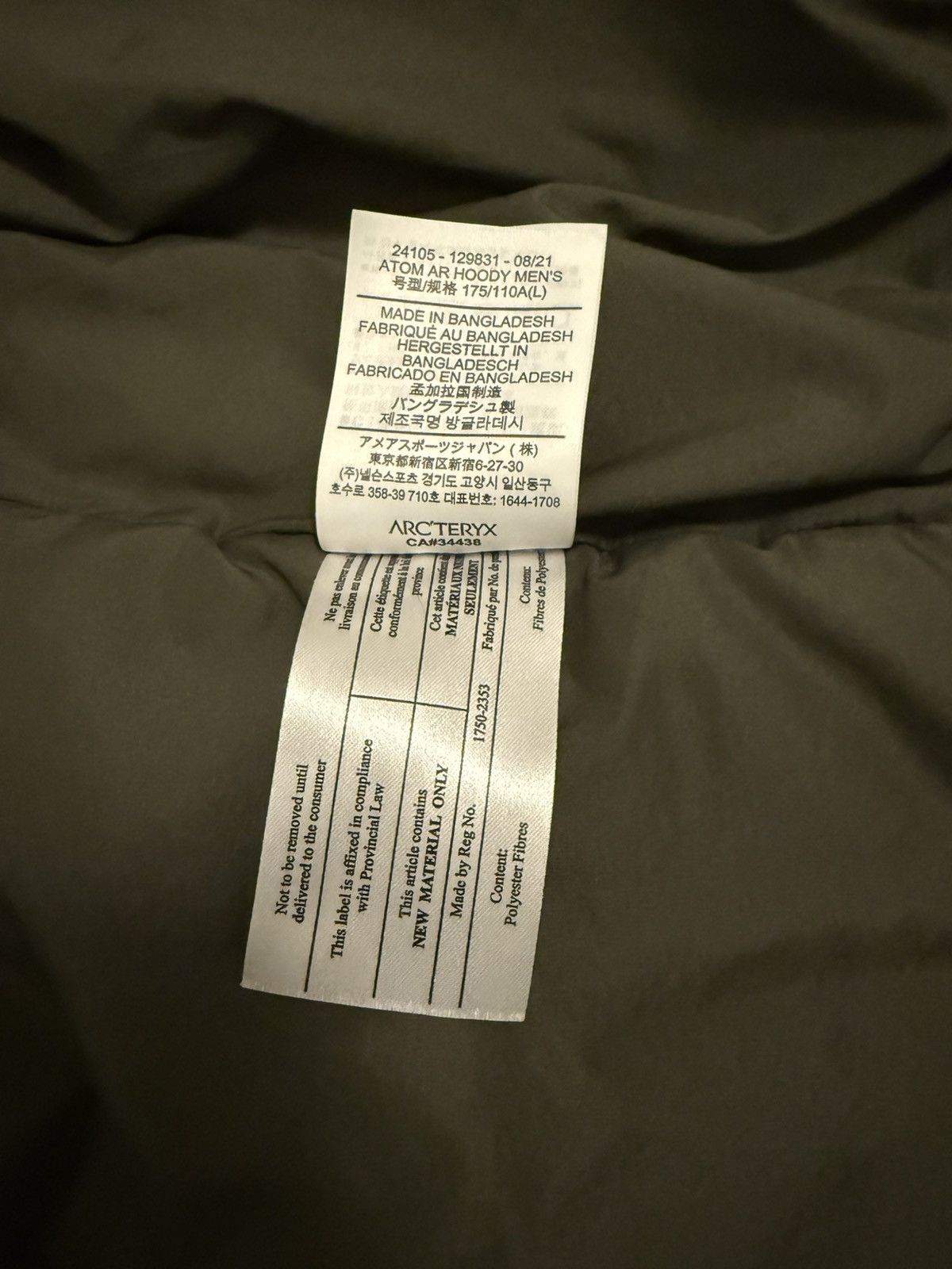 Arc'teryx Atom AR Hoody - Distortion Size US L / EU 52-54 / 3 - 2 Thumbnail