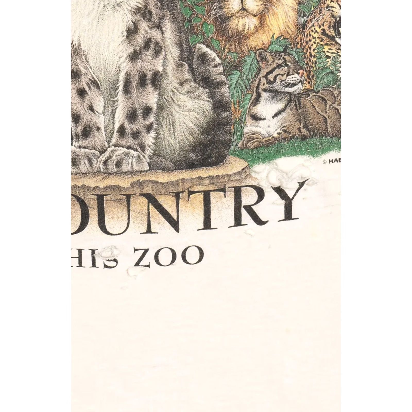 Vintage VINTAGE Skimmers T-Shirt White Short Sleeve Large Unisex Adults 1990s Thrashed Cat Country Memphis Zoo Big Cats Wrap Around Men Womens Boys Girls Size US L / EU 52-54 / 3 - 7 Thumbnail