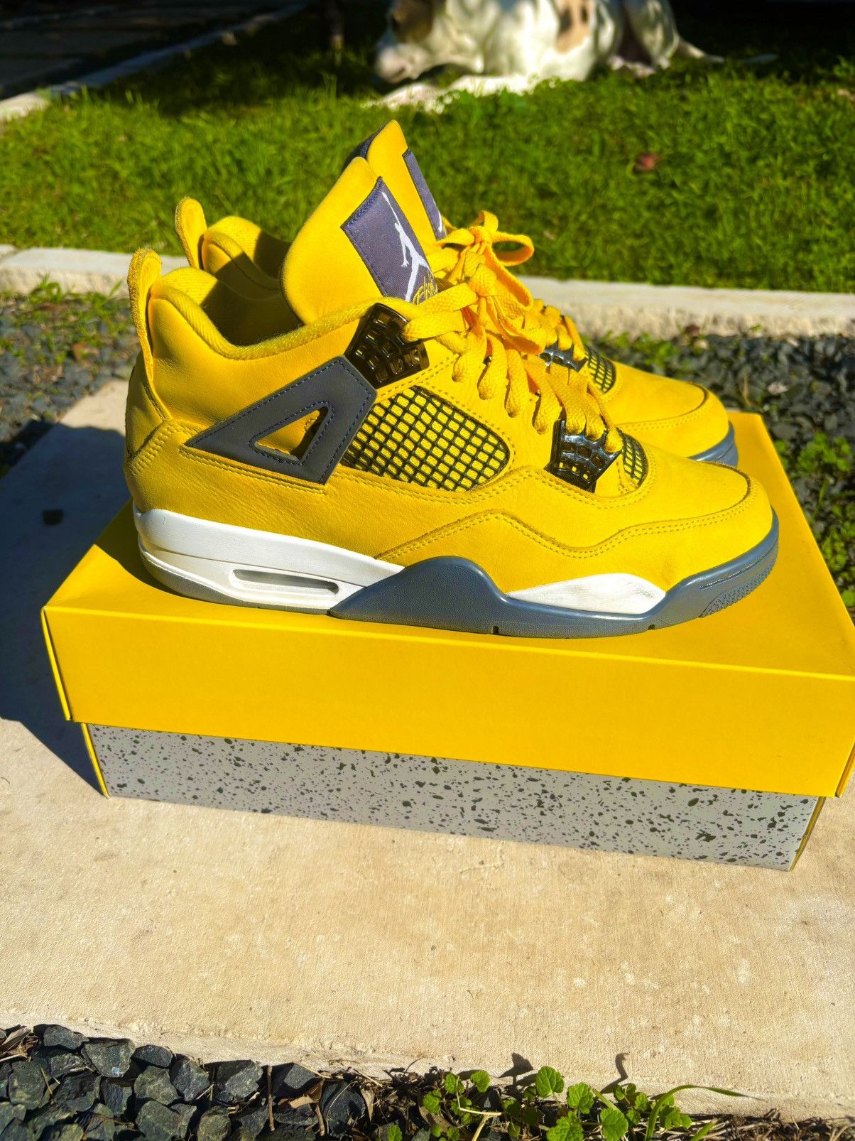 Jordan Brand Air Jordan 4 “Yellow Lightning” Size US 9 / EU 42 - 6 Thumbnail