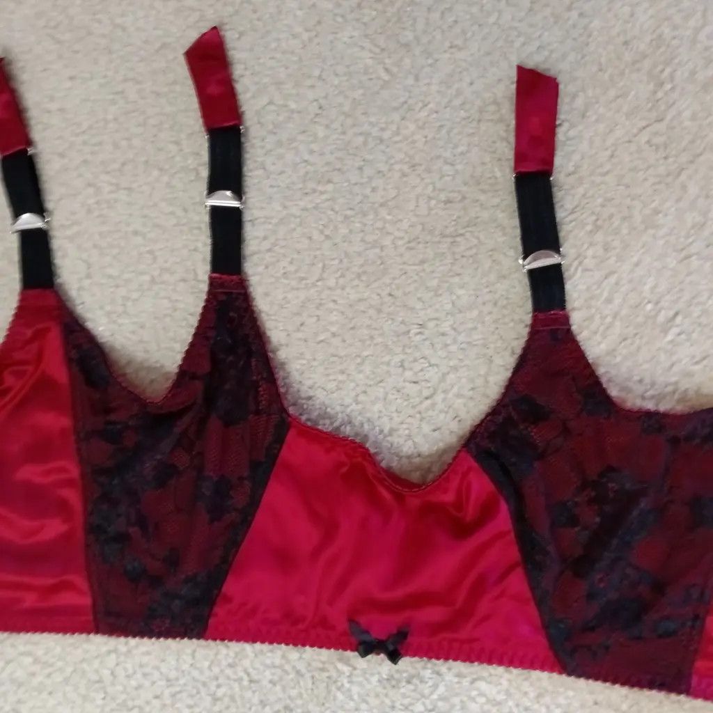 Other Secrets In Lace 3XL Crimson Corset Bralette — Rare Archive Size 3XL / US 20-22 - 4 Thumbnail