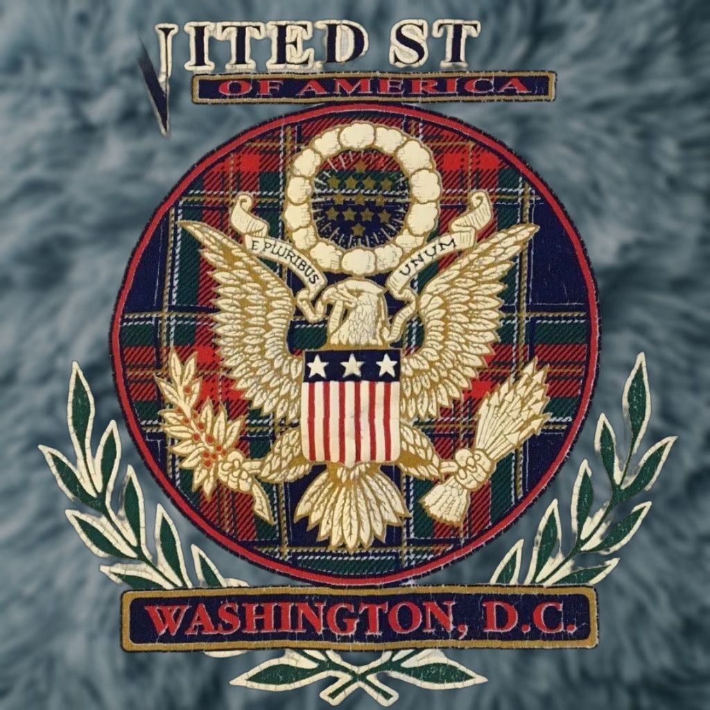 Vintage Vtg 80s Washington DC Faded Sweatshirt S Eagle White House President Grunge 90s Hoodie Mens Gray Small USA US Made Potus 80s 90s Vintage College Rock Size US S / EU 44-46 / 1 - 1 Thumbnail