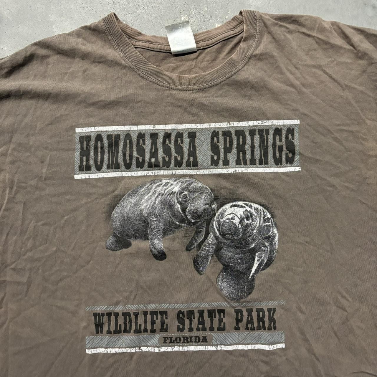 Vintage Crazy Vintage Y2K/2000s Sunfaded Brown Manatee Nature Animal Graphic Tee! Size US XXL / EU 58 / 5 - 2 Thumbnail