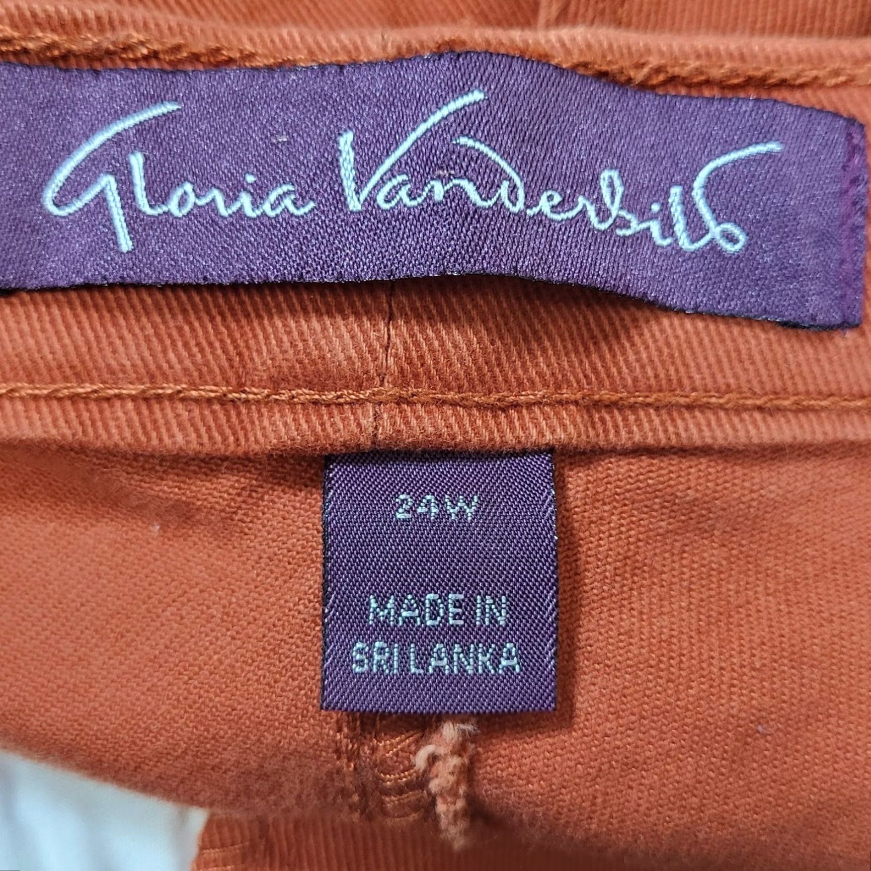 Gloria Vanderbilt Gloria Vanderbilt Amanda Womens Plus Size 24W Rust Orange Stretch Jeans Pants Denim Long Inseam 29” Straight Size 42" / US 20 - 4 Thumbnail
