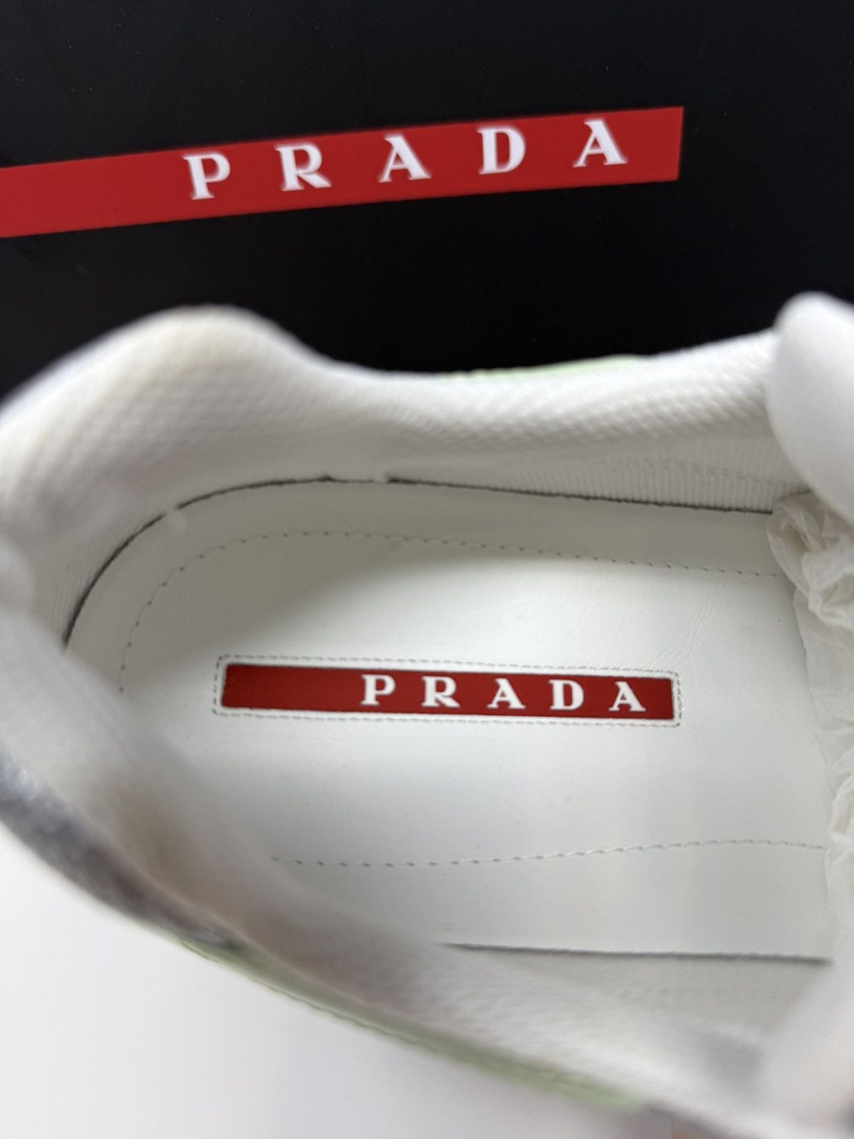 Prada Prada Americas Cup Sneaker Dew/Silver Size US 9 / EU 42 - 6 Thumbnail
