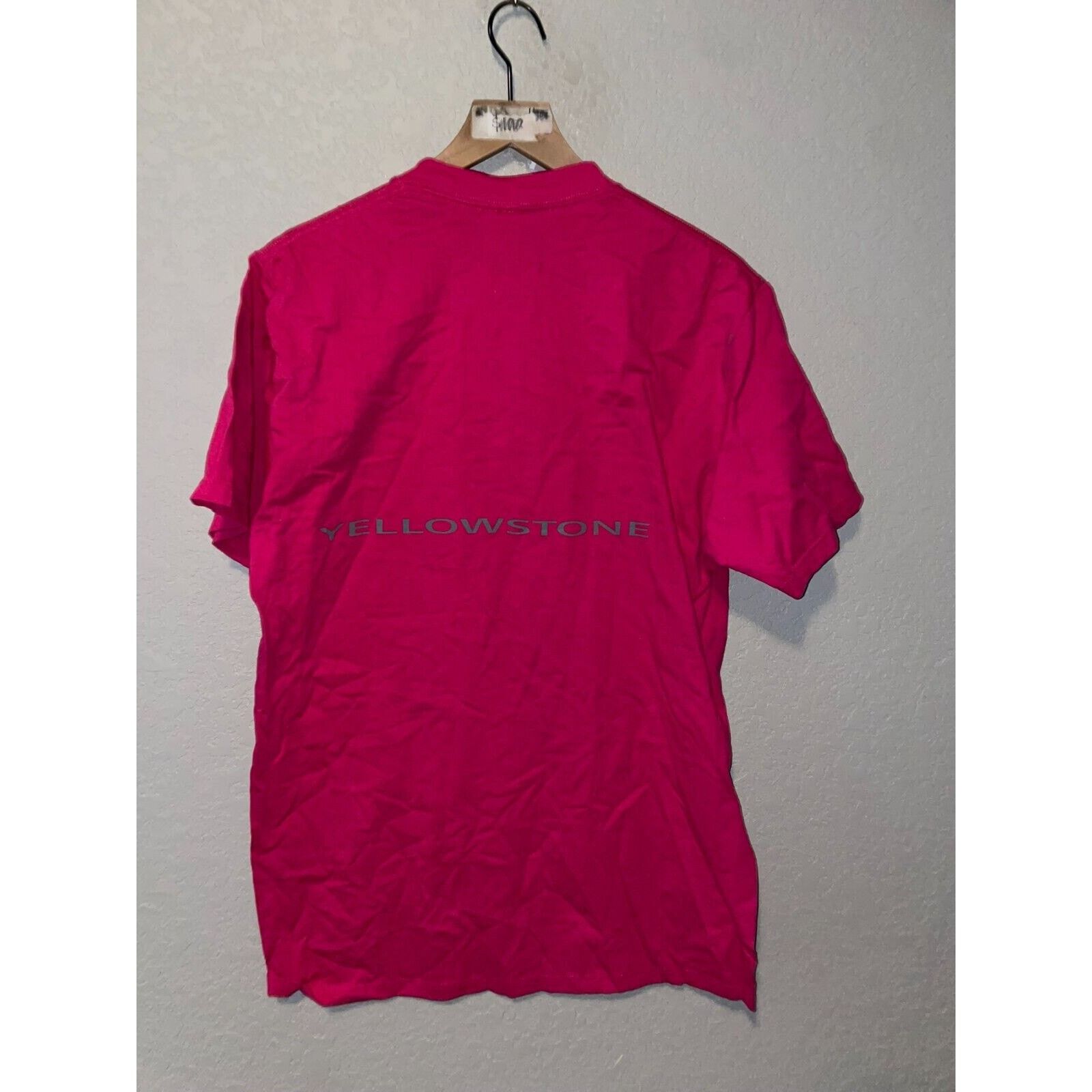 Jerzees Vintage Wisconsin Shirt Pink Flower Test Print Tee VTG 90s L Size US L / EU 52-54 / 3 - 7 Thumbnail