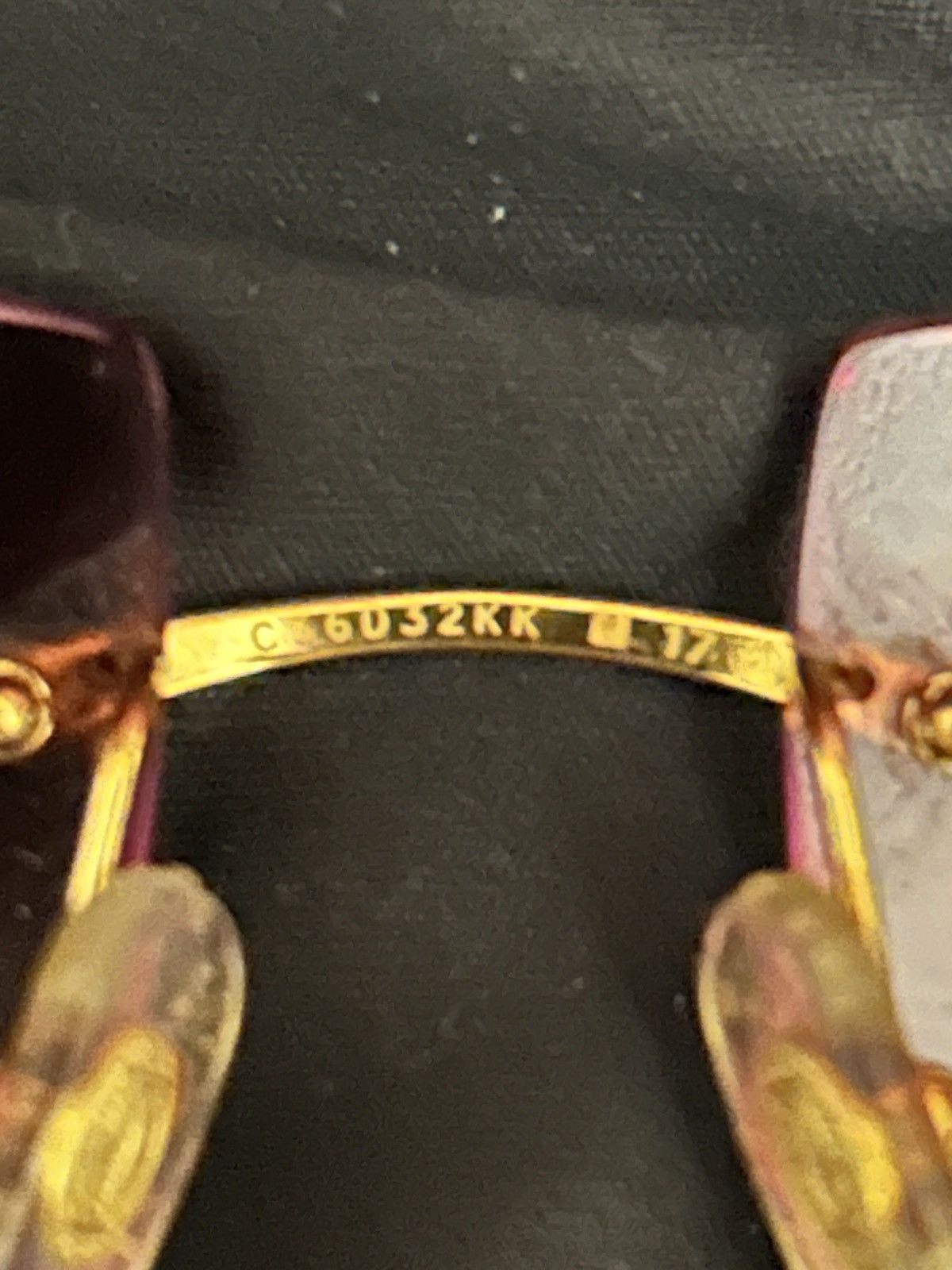 Cartier Cartier Buffalo Horn C Décor Sunglasses – Rare Buffs Size ONE SIZE - 4 Thumbnail
