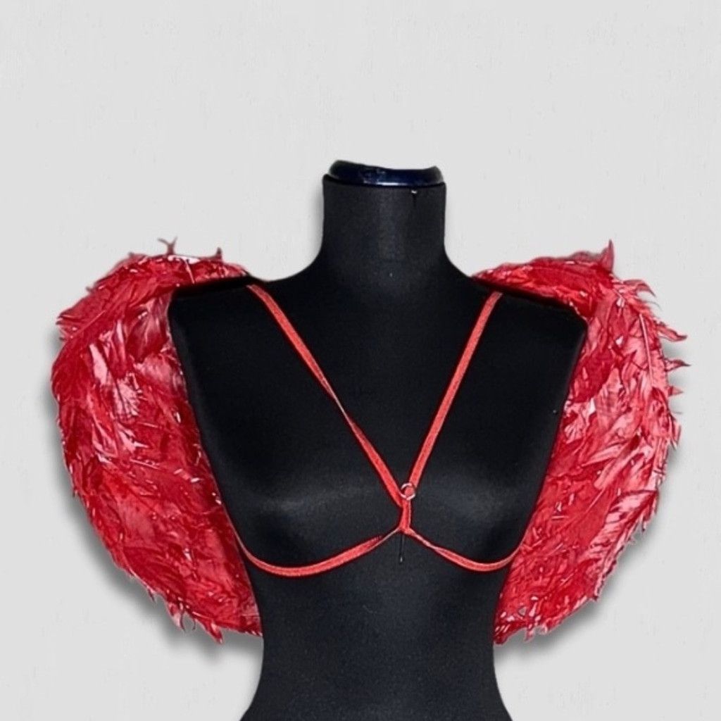 Vintage Feather Devil Angel Wings Costume Backpack-Style Red OS Size ONE SIZE - 2 Thumbnail