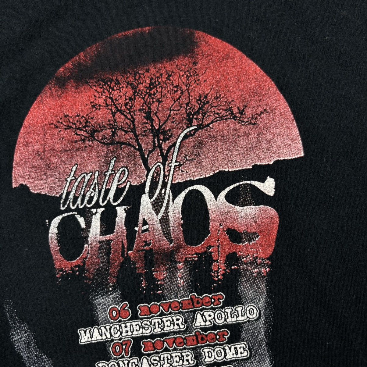 Band Tees Taste of Chaos UK Official tour merch - Europe Tour 2005 Size US XL / EU 56 / 4 - 5 Thumbnail