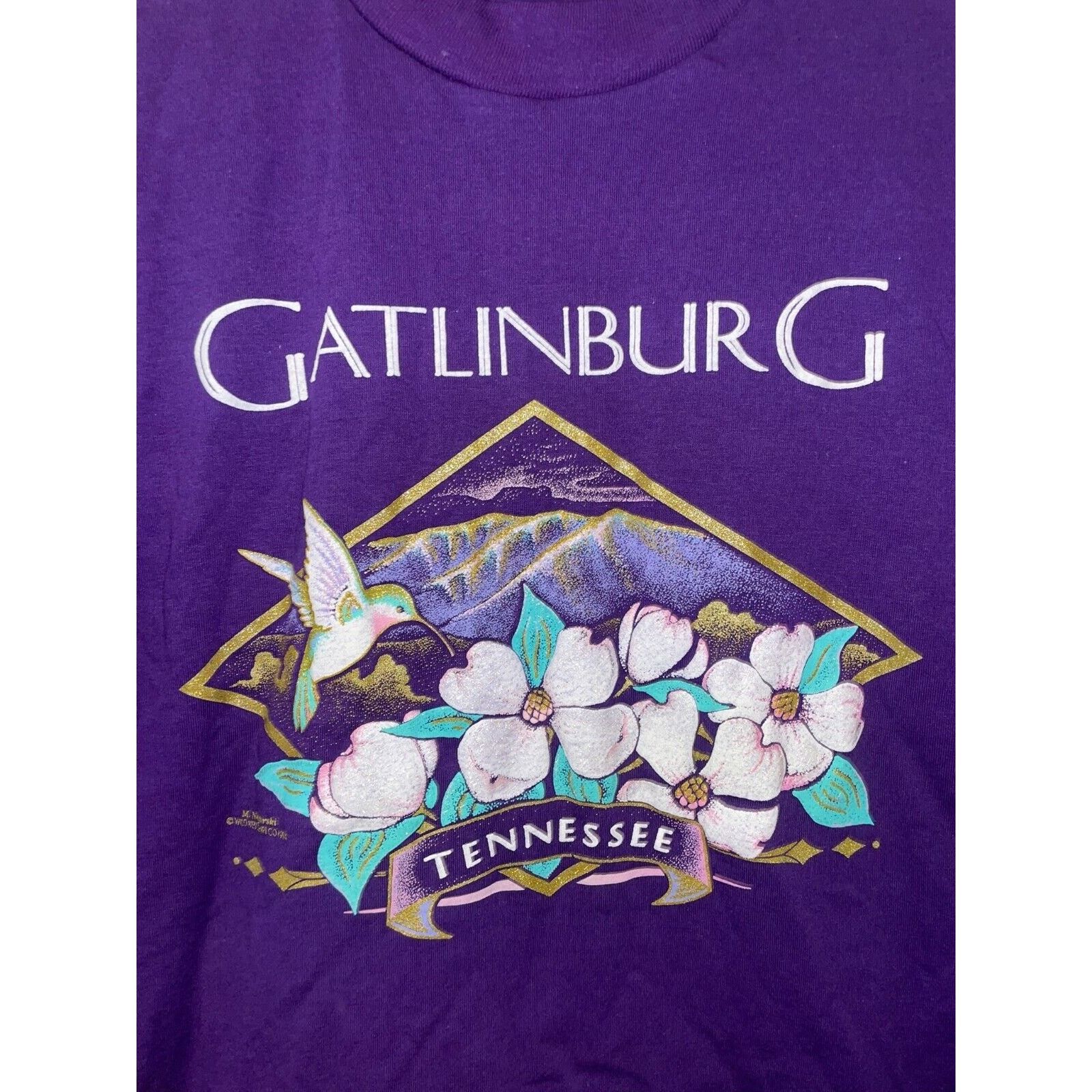 Jerzees Vintage Tennessee Shirt Jerzees Gatlinburg TN Tee VTG 90s L Size US L / EU 52-54 / 3 - 2 Thumbnail