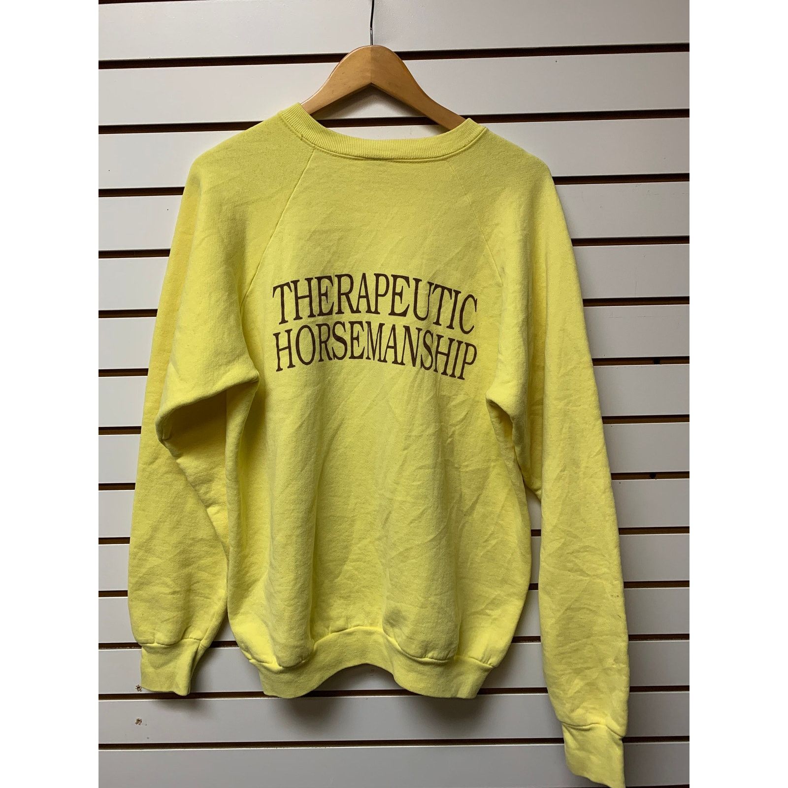 Fruit Of The Loom Vintage therapeutic horsemanship Sweatshirt size XL 1990s Size US XL / EU 56 / 4 - 6 Thumbnail