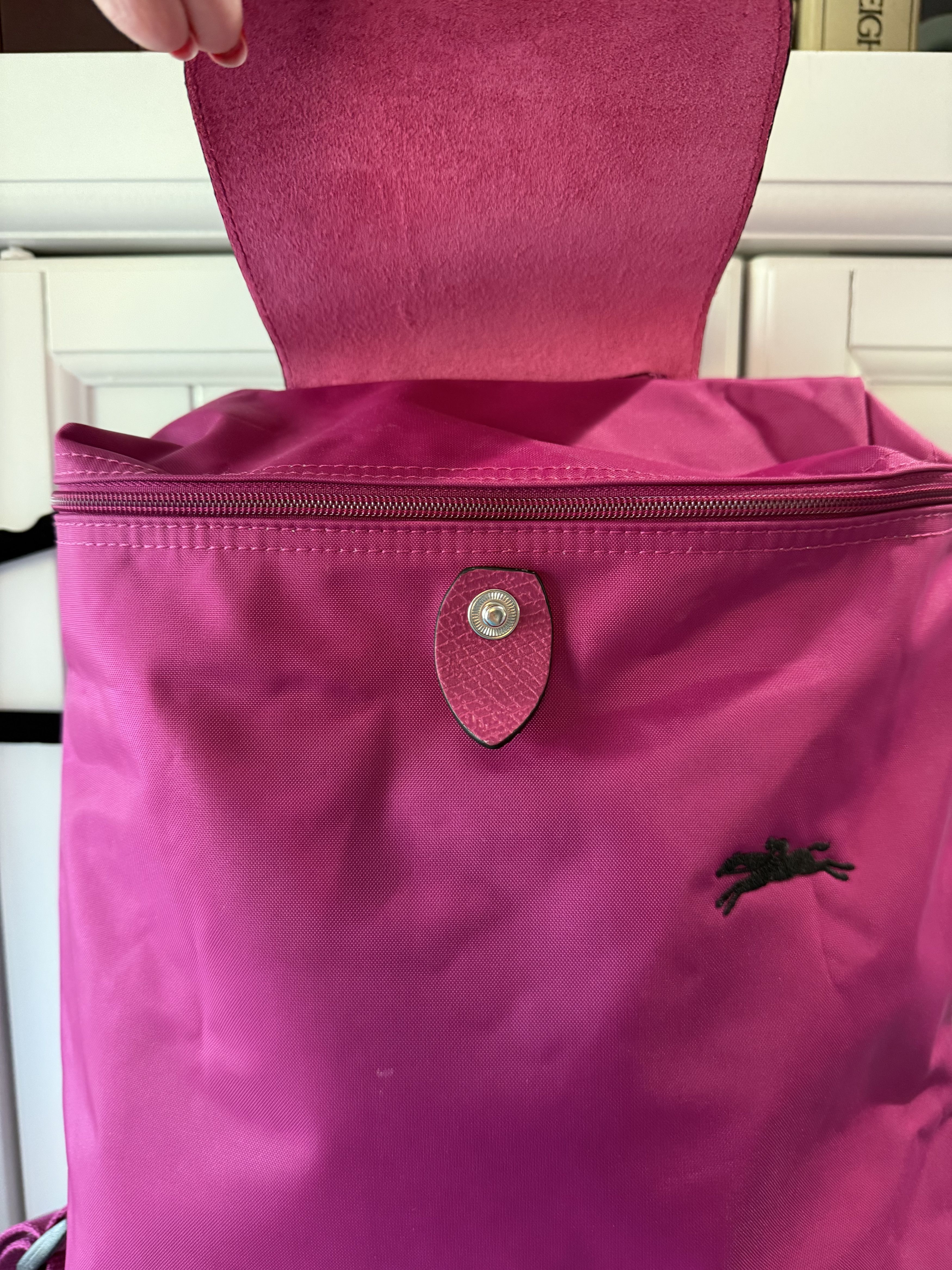 Longchamp Longchamp Le Pliage Small Backpack recycled nylon EUC Size ONE SIZE - 4 Thumbnail