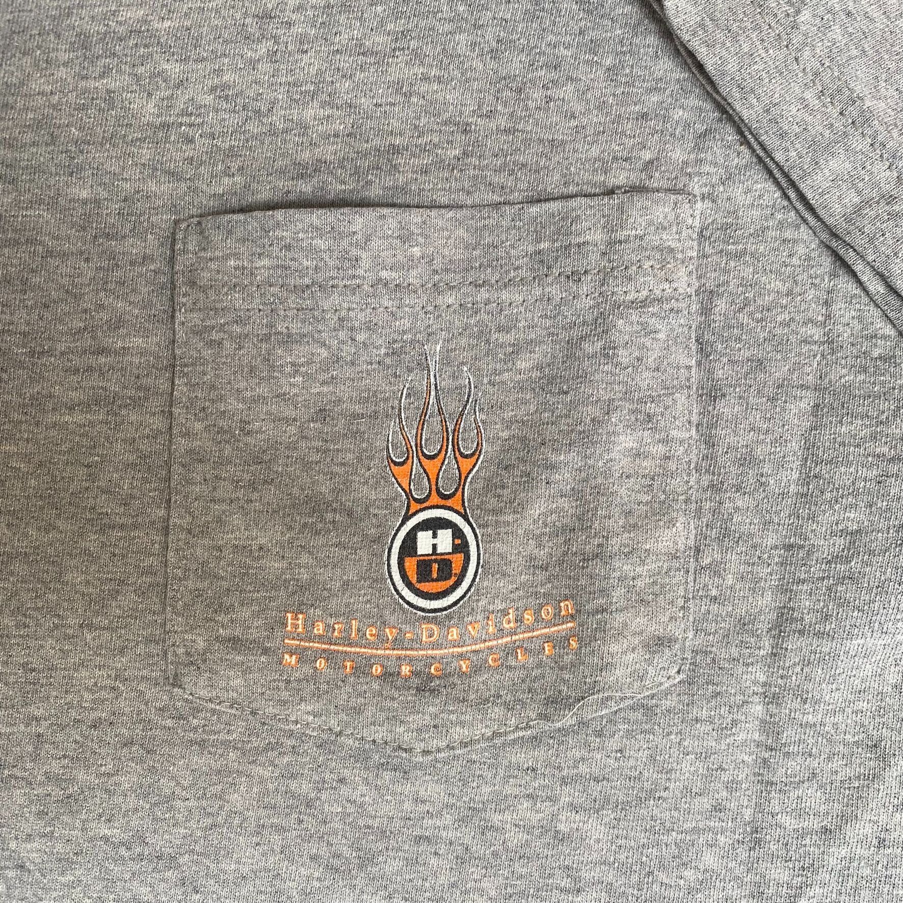Harley Davidson Vintage Y2K Harley Davidson Shirt Motorcycle Flame Logo Tee Size US L / EU 52-54 / 3 - 6 Thumbnail
