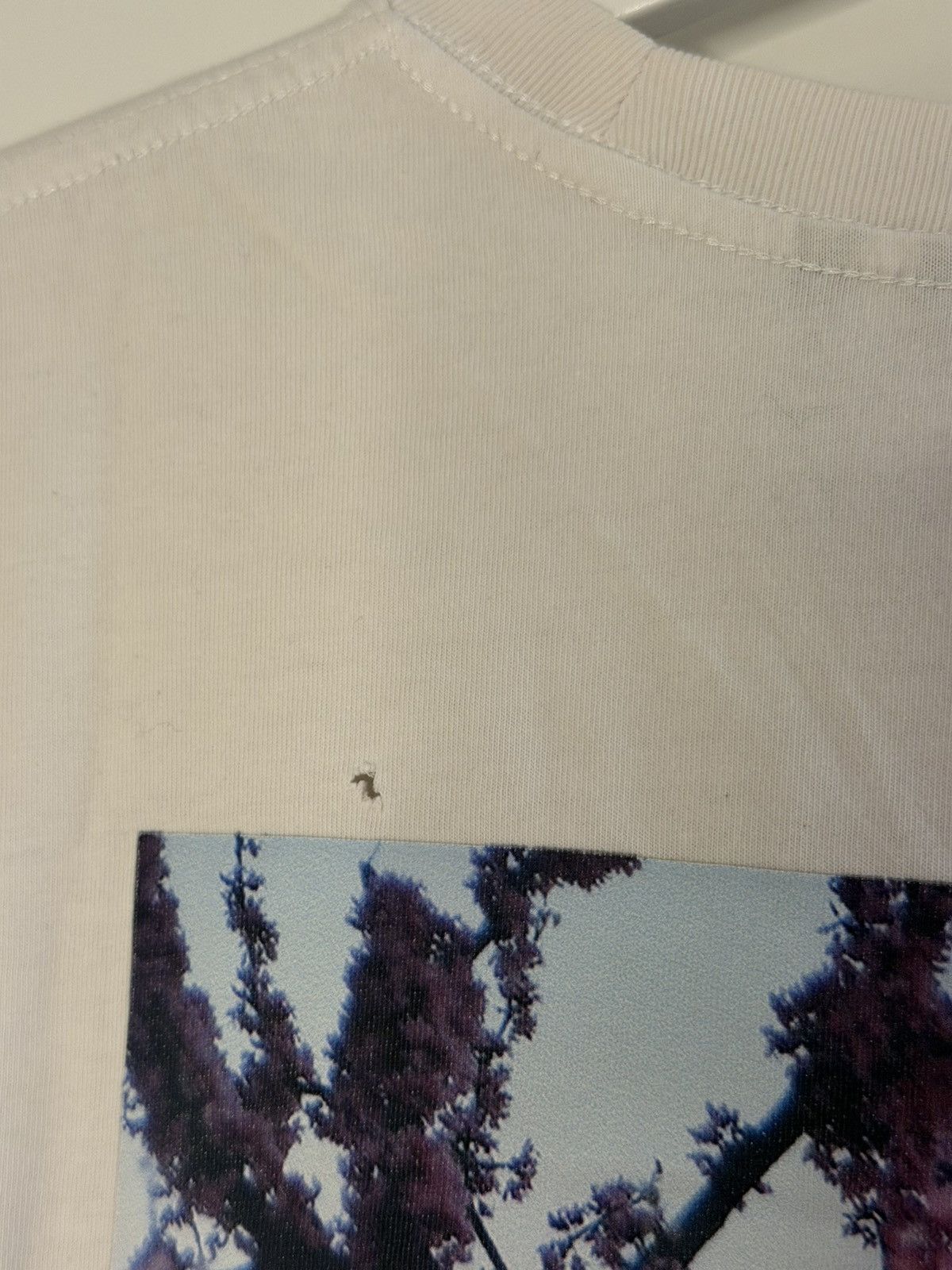 Essentials Fear Of God Essentials Cherry Blossom Photo Tee Size US S / EU 44-46 / 1 - 6 Thumbnail