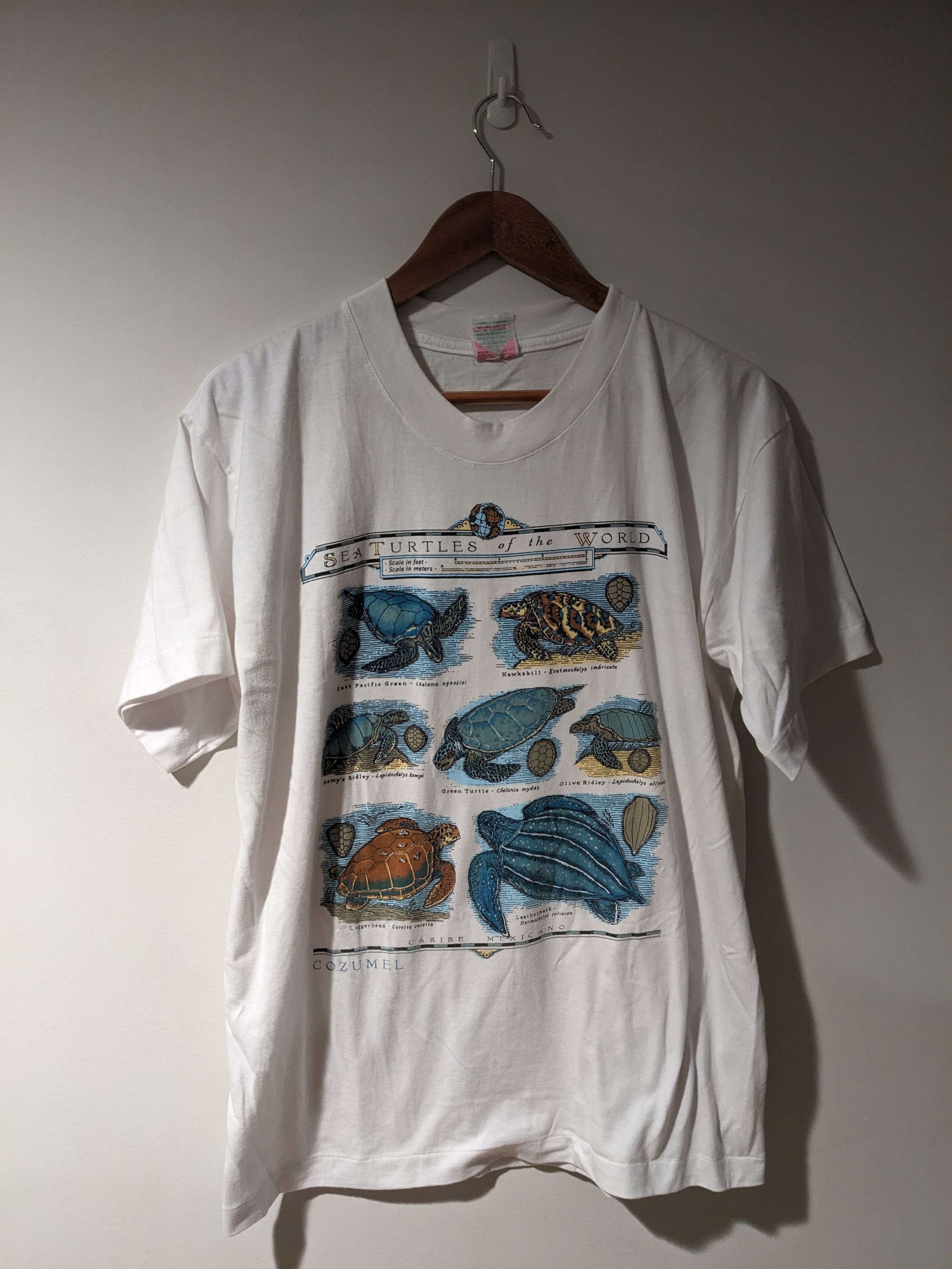 Vintage Vintage Sea Turtles of the World Animal Nature Large T-Shirt Size US L / EU 52-54 / 3 - 1 Thumbnail