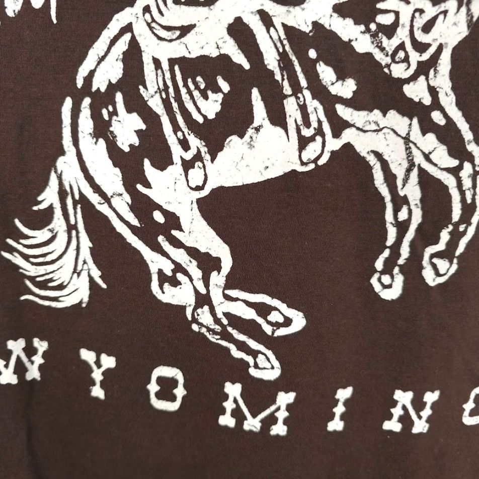Vintage Bowery Jackson Hole Rodeo T Shirt Mens S Brown Wyoming Travel Destination Tee Shirts Rodeo Western Cowboy Bull Riding Gift Boys/Mens 90s Style Size US S / EU 44-46 / 1 - 4 Thumbnail