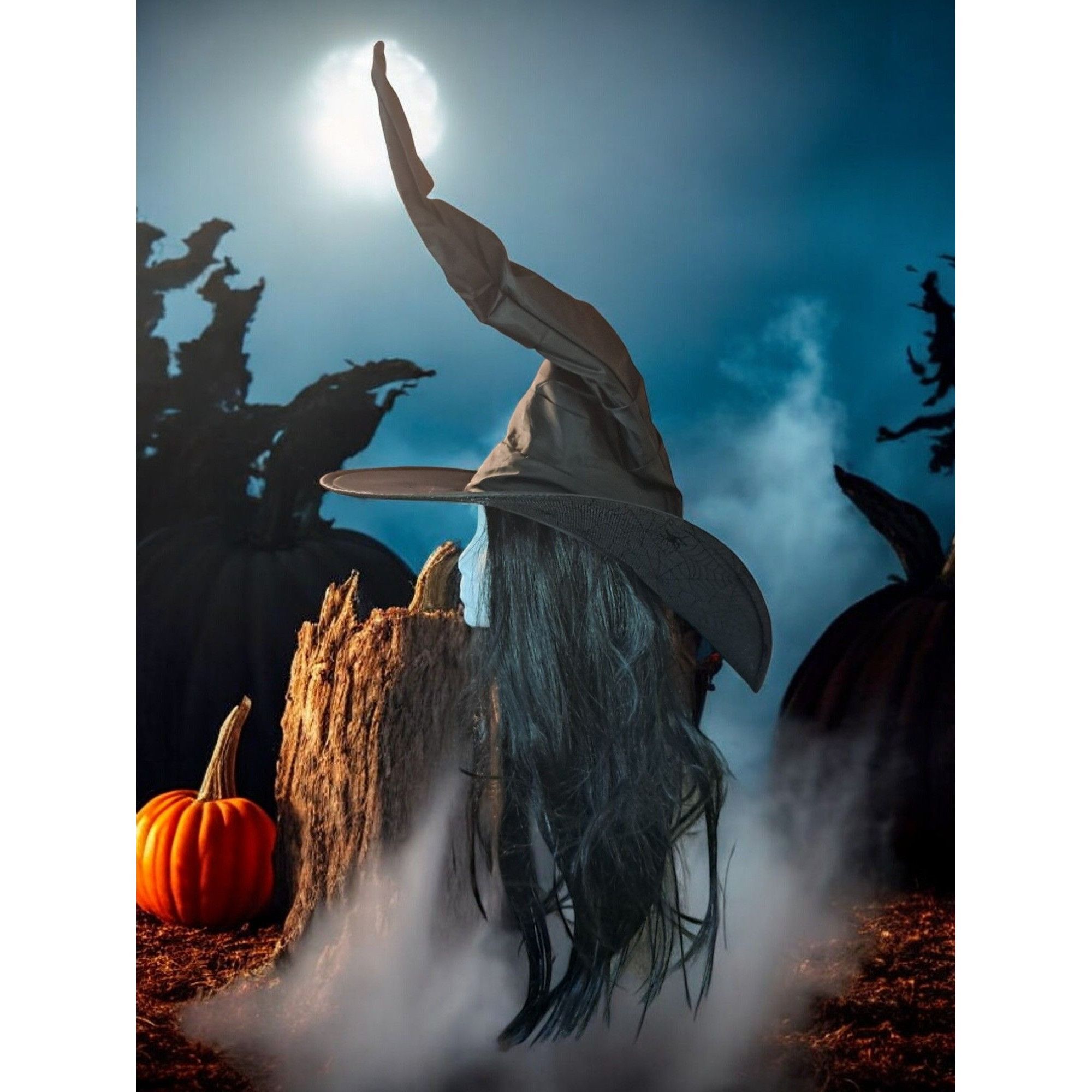 Other Adult Unisex Witch Dracula Halloween Costume Size Large Size US L / EU 52-54 / 3 - 15 Thumbnail