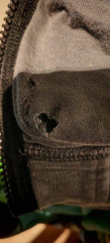 Stone Island Stone Island grey jacket Size US XL / EU 56 / 4 - 6 Thumbnail