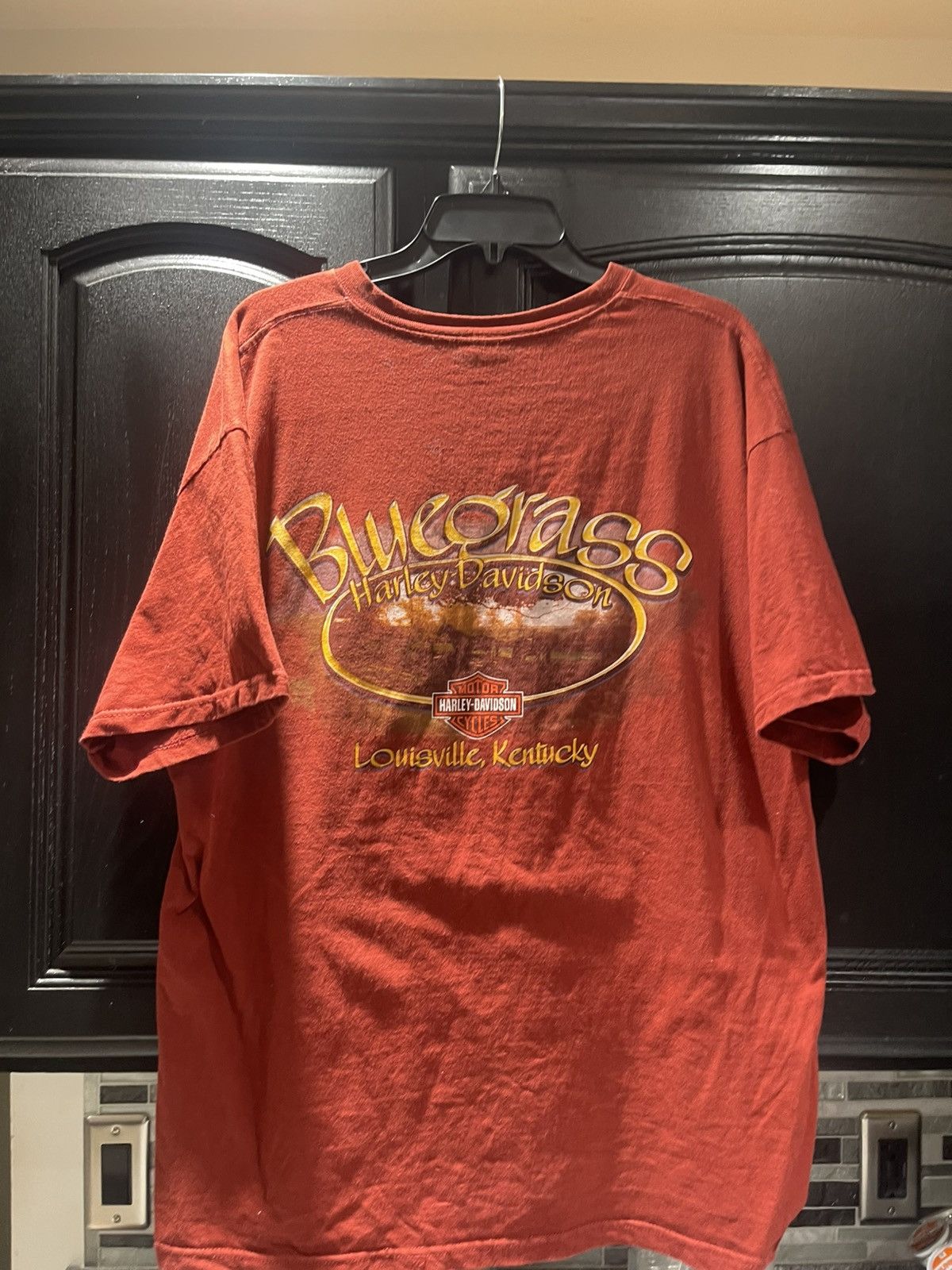Vintage Harley Davidson Eagle Front Shirt, Bluegrass Harley Davidson Size US XL / EU 56 / 4 - 4 Thumbnail