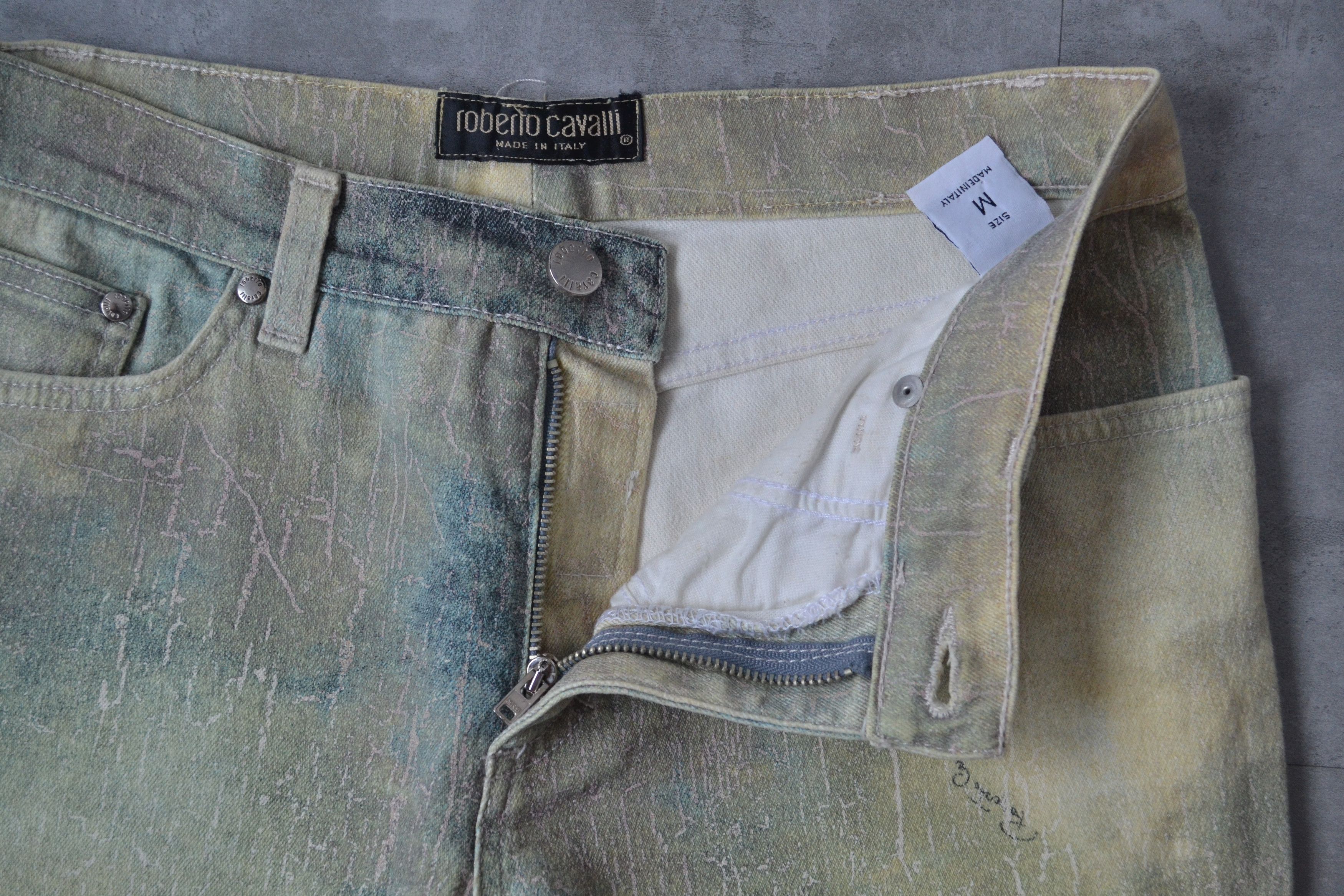 Roberto Cavalli Roberto Cavalli Jeans Pants Wild Leda Print Vintage Denim Size US 30 / EU 46 - 6 Thumbnail