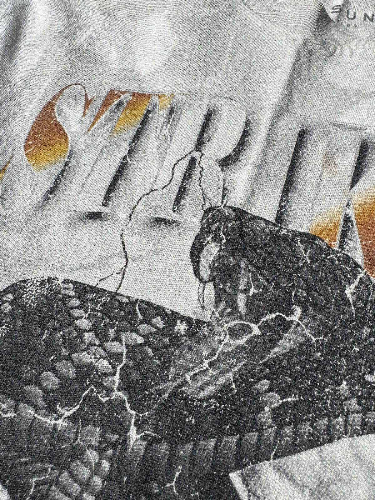 Pacsun STRIKER GRAPHIC TEE WASHED RATTLE-SNAKE READY TO POUNCE Size US M / EU 48-50 / 2 - 5 Thumbnail