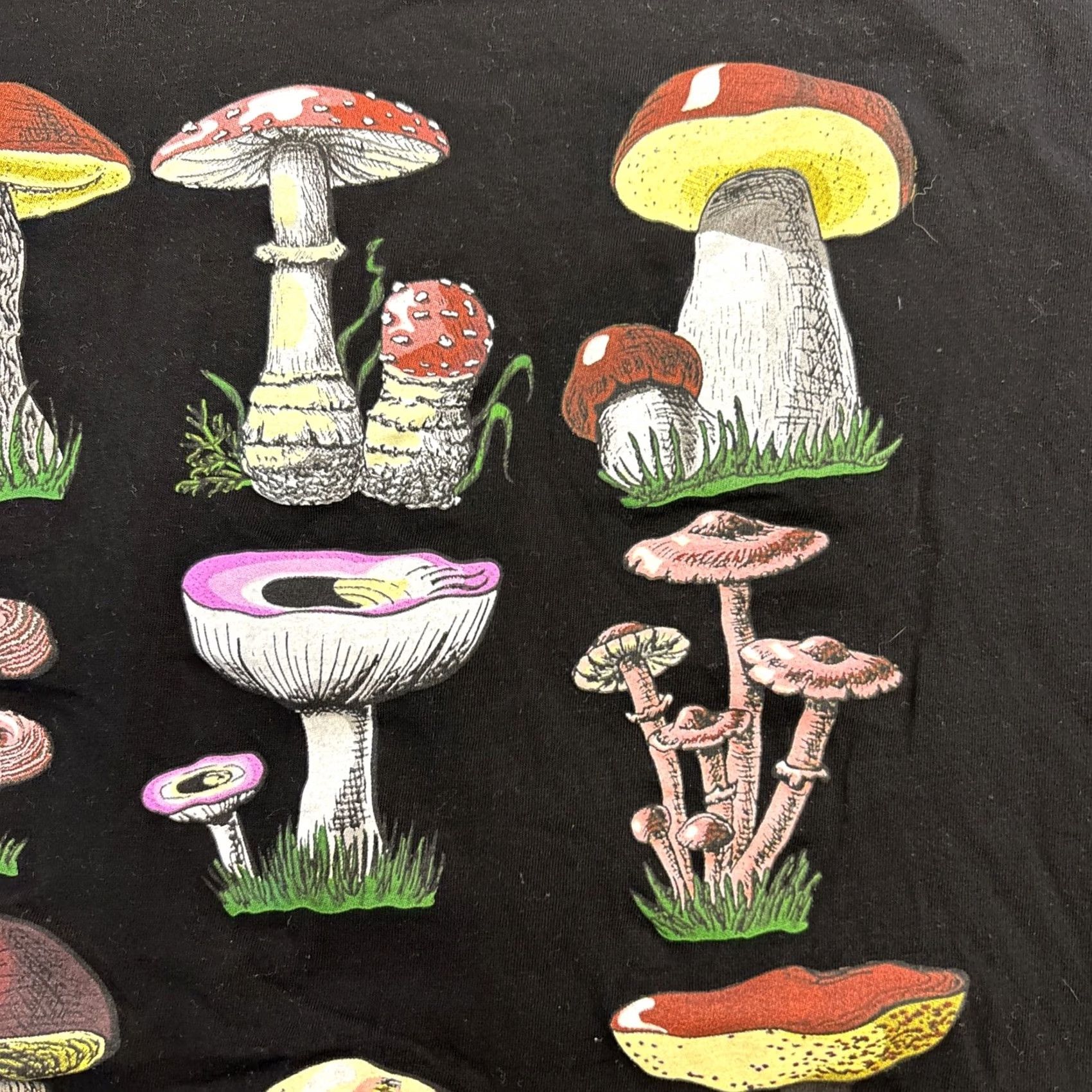 Vintage Poisonous Mushroom Season Funny Fungi Mycology Foraging T-Shirt XL NWOT Unisex Adults Black Cotton Short Sleeve Graphic Print Modern Trending 2020s Size US XL / EU 56 / 4 - 5 Thumbnail