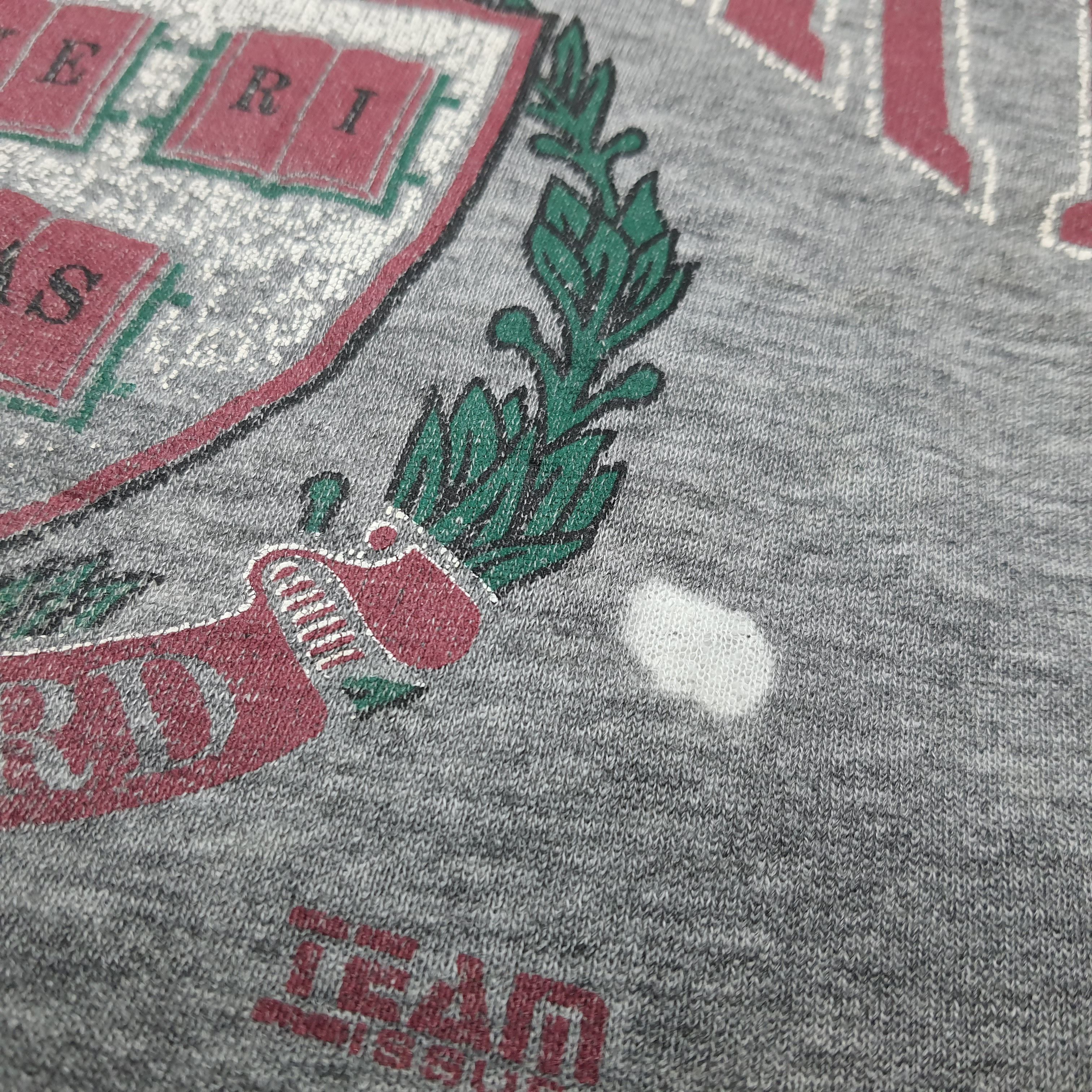 Russell Athletic Vintage Russell Harvard University Veritas Sweatshirt Size US M / EU 48-50 / 2 - 11 Thumbnail