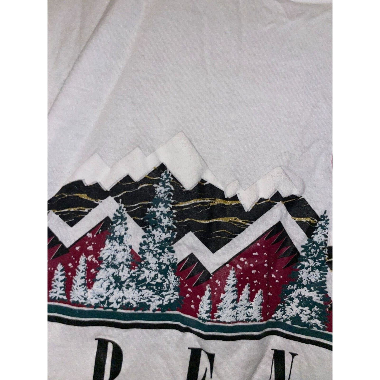 Jerzees Vintage Reno Nevada Shirt Nature Graphic White M Tee 90s Size US M / EU 48-50 / 2 - 5 Thumbnail