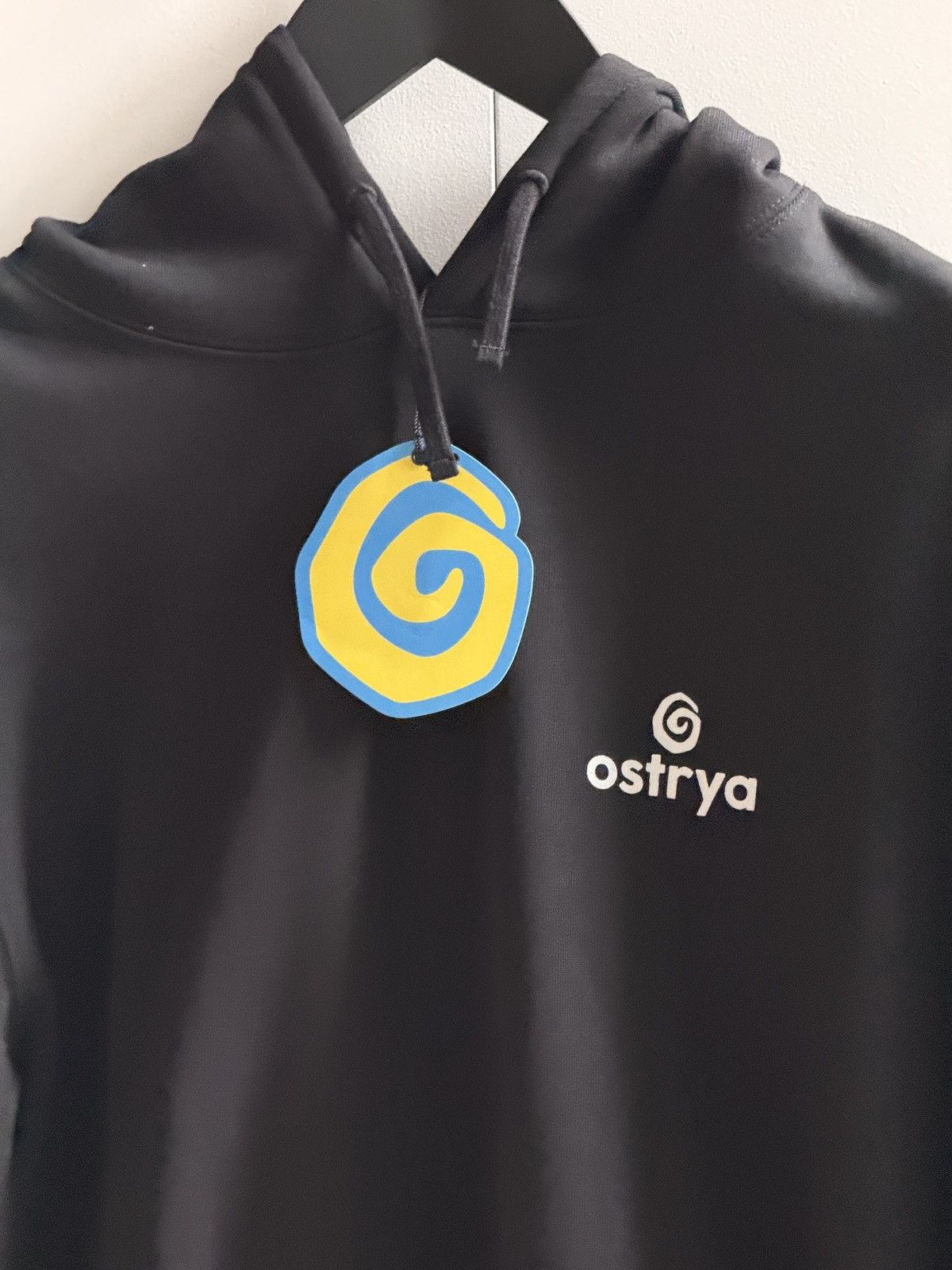 Ostrya Ostrya Core Logo Hoodie Size US M / EU 48-50 / 2 - 3 Thumbnail